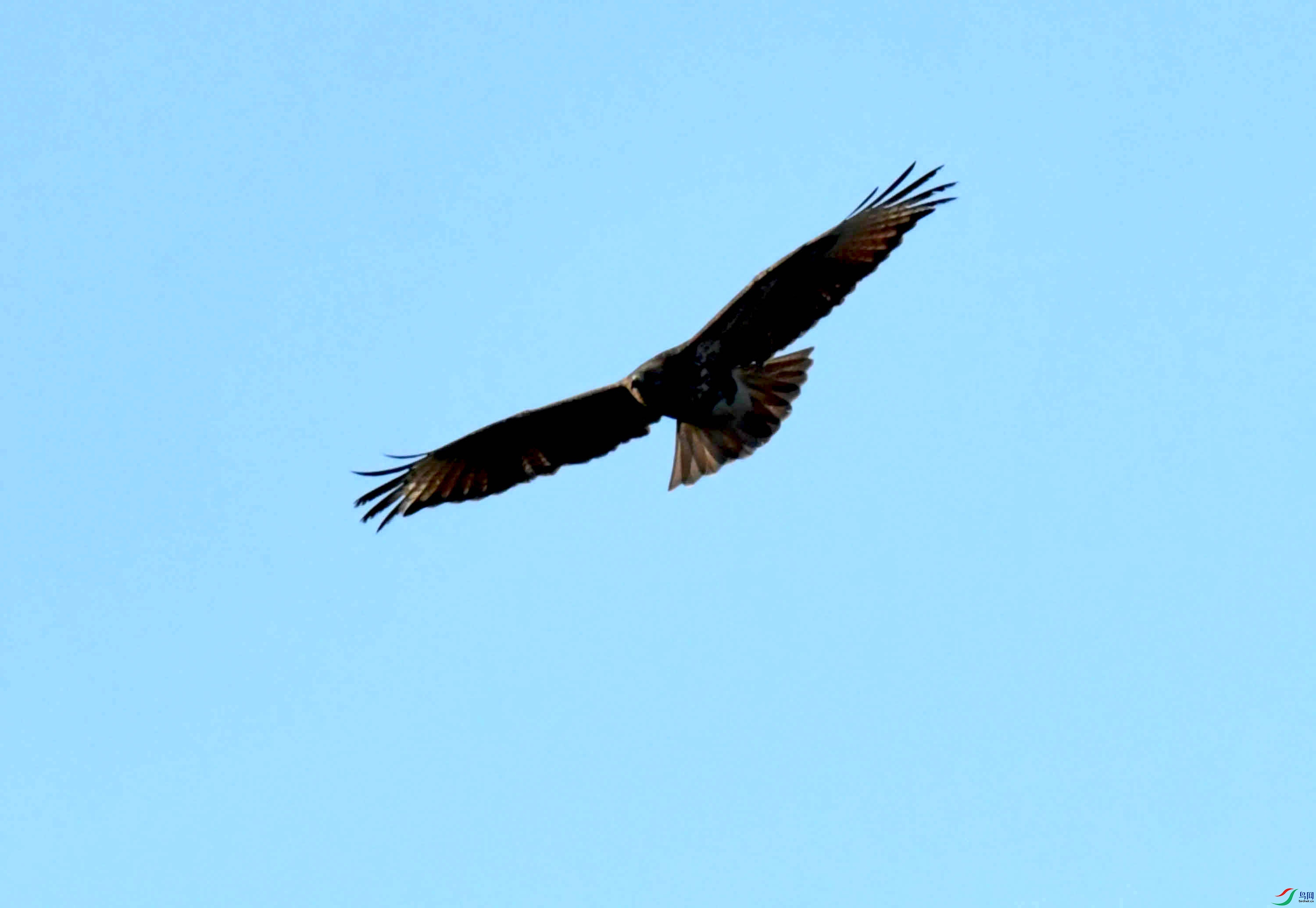 DSC_0755.JPG