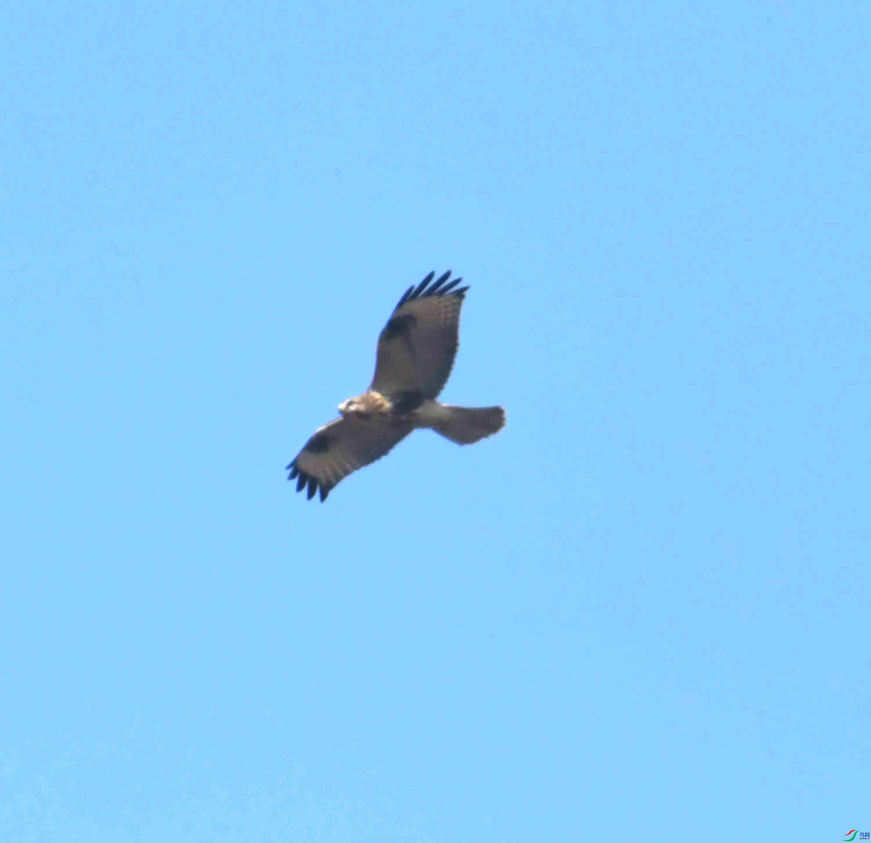 DSC_0759.JPG