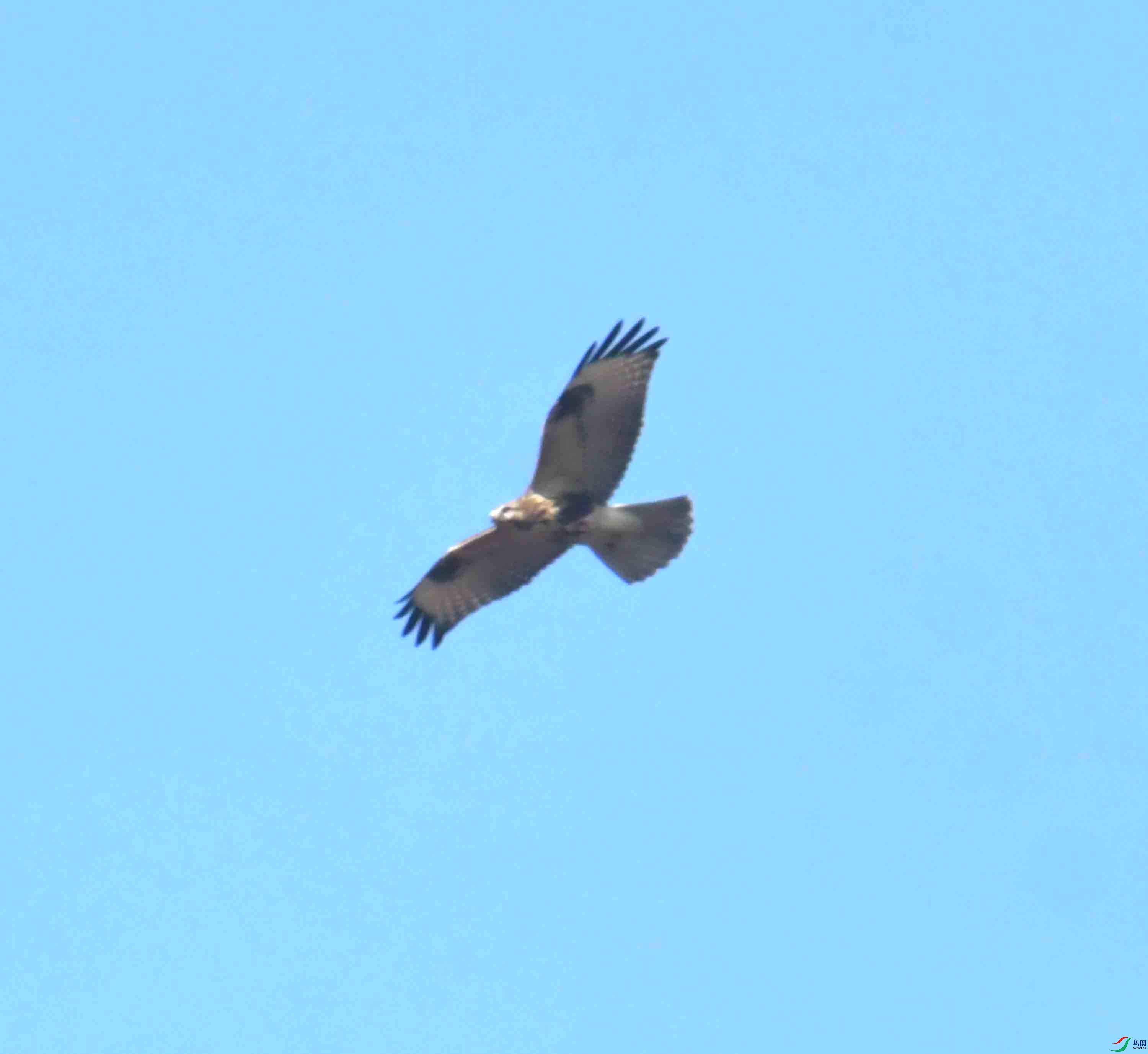 DSC_0757.JPG