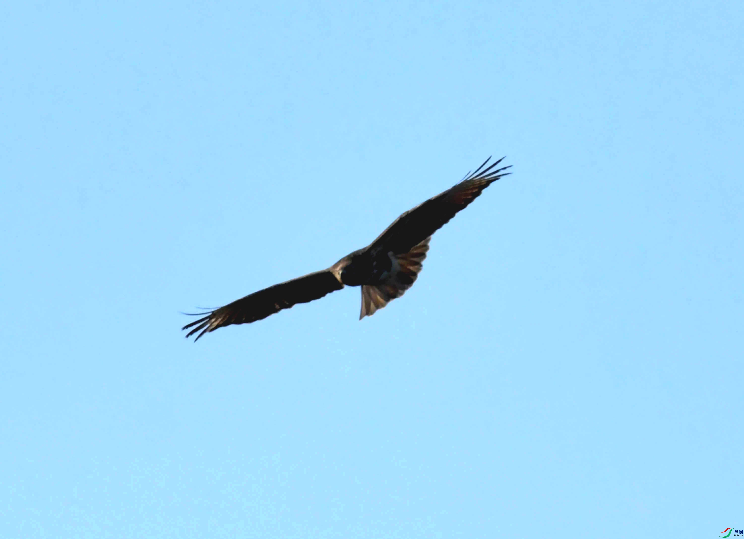 DSC_0765.JPG