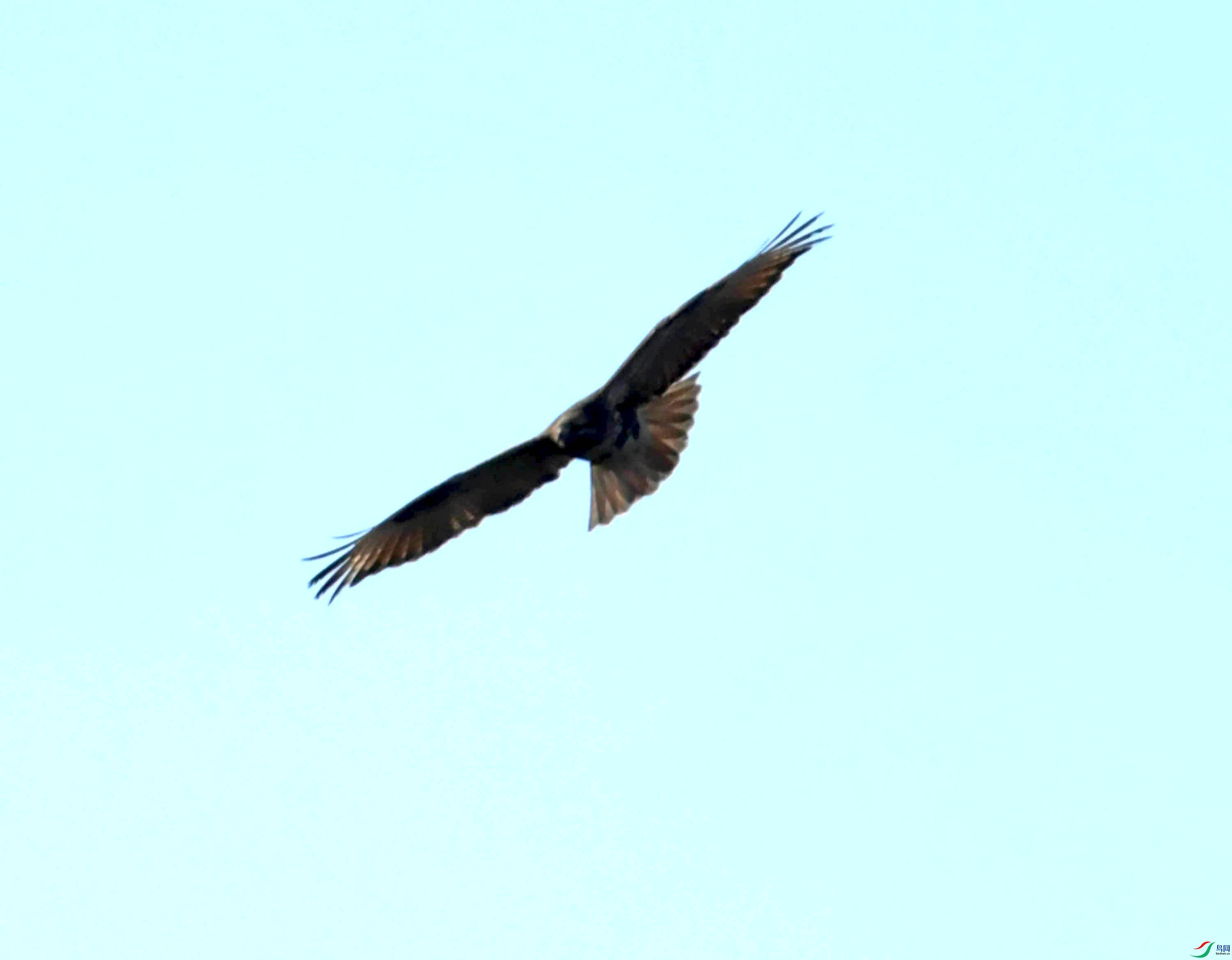 DSC_0779.JPG