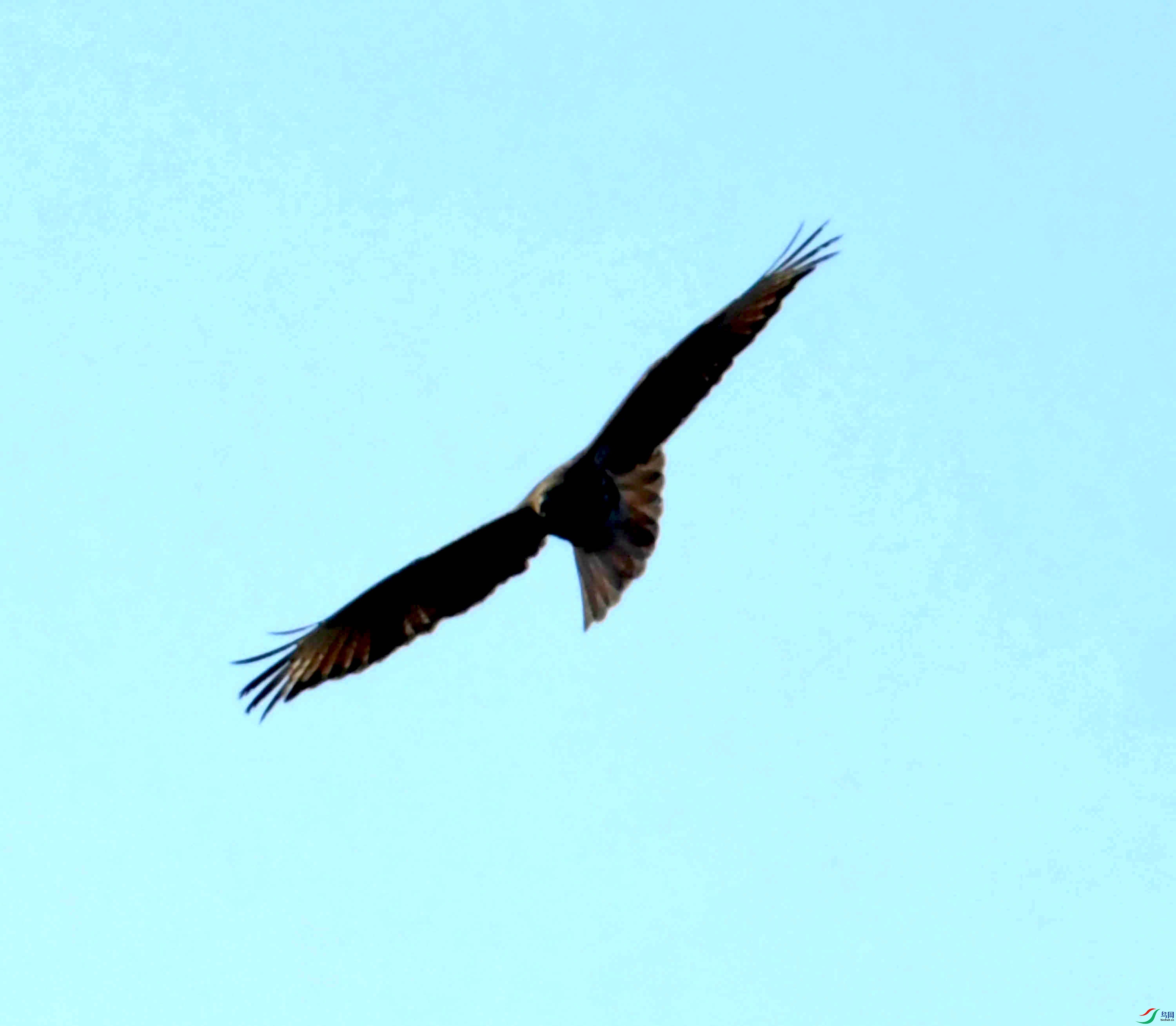 DSC_0778.JPG