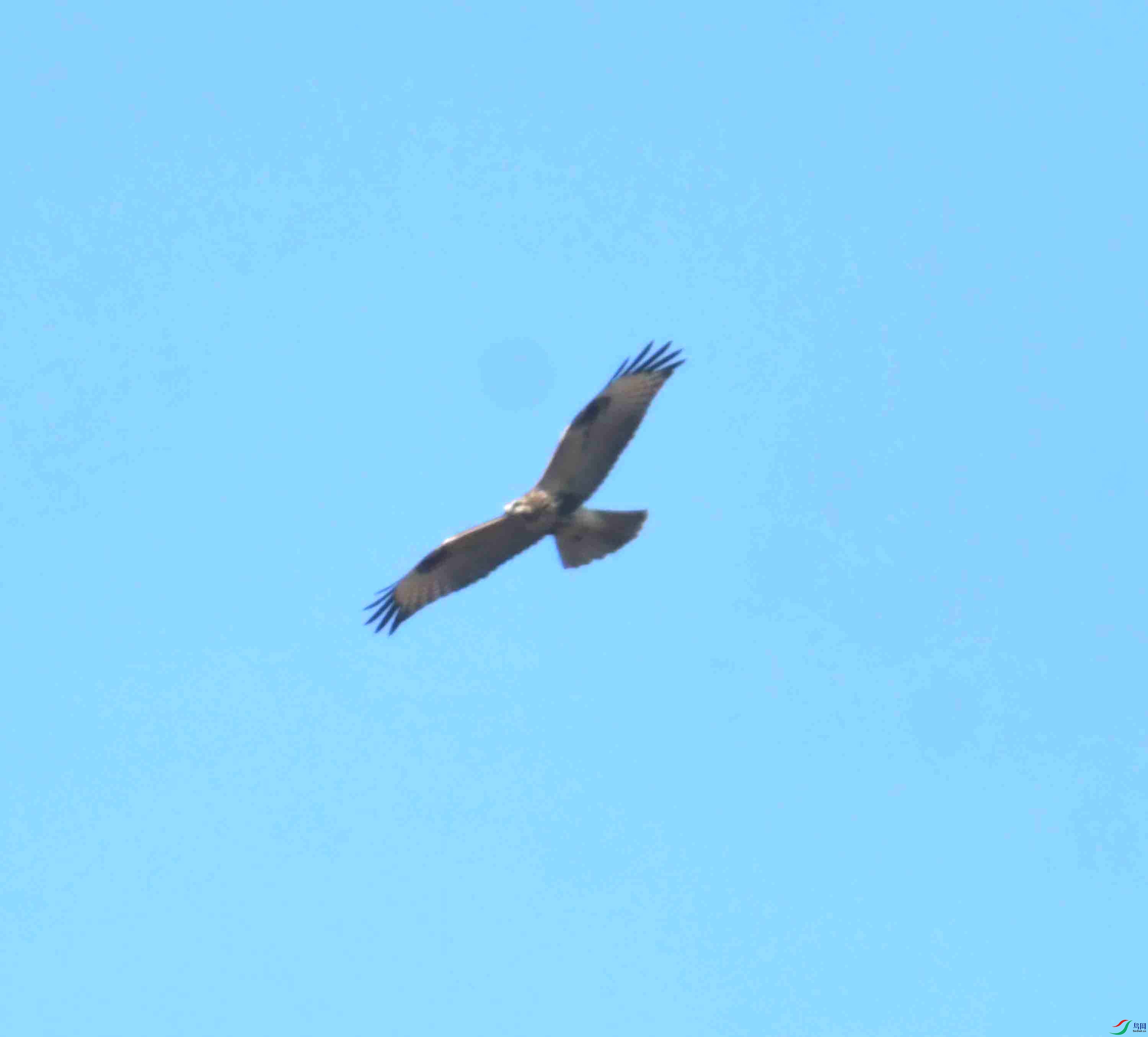 DSC_0756.JPG