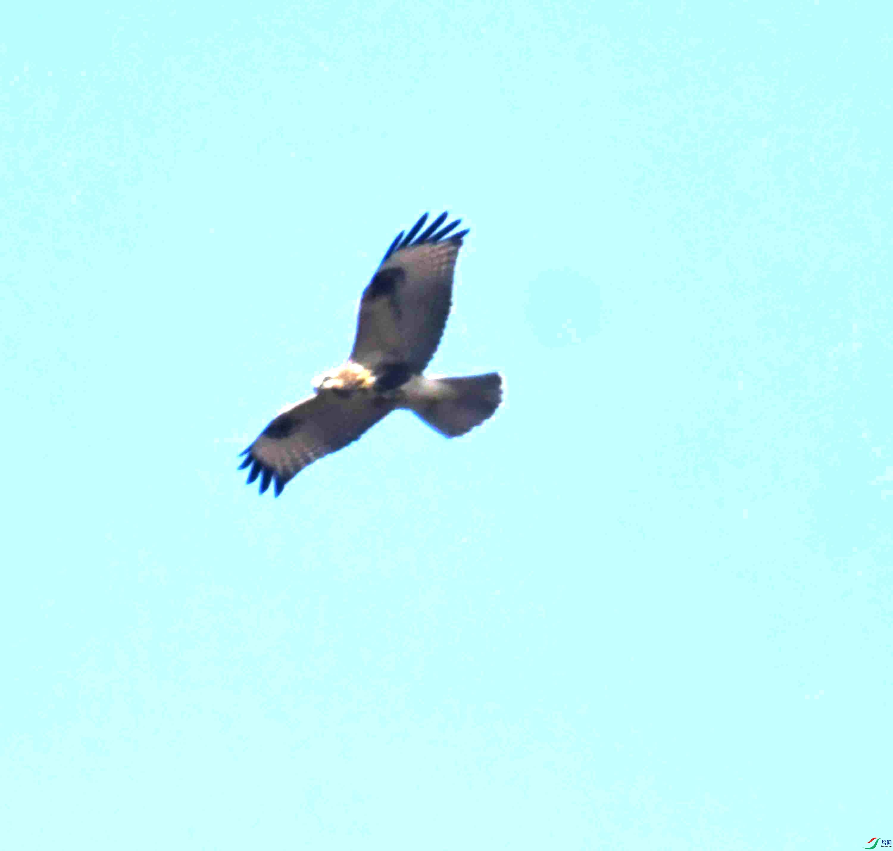 DSC_0758.JPG