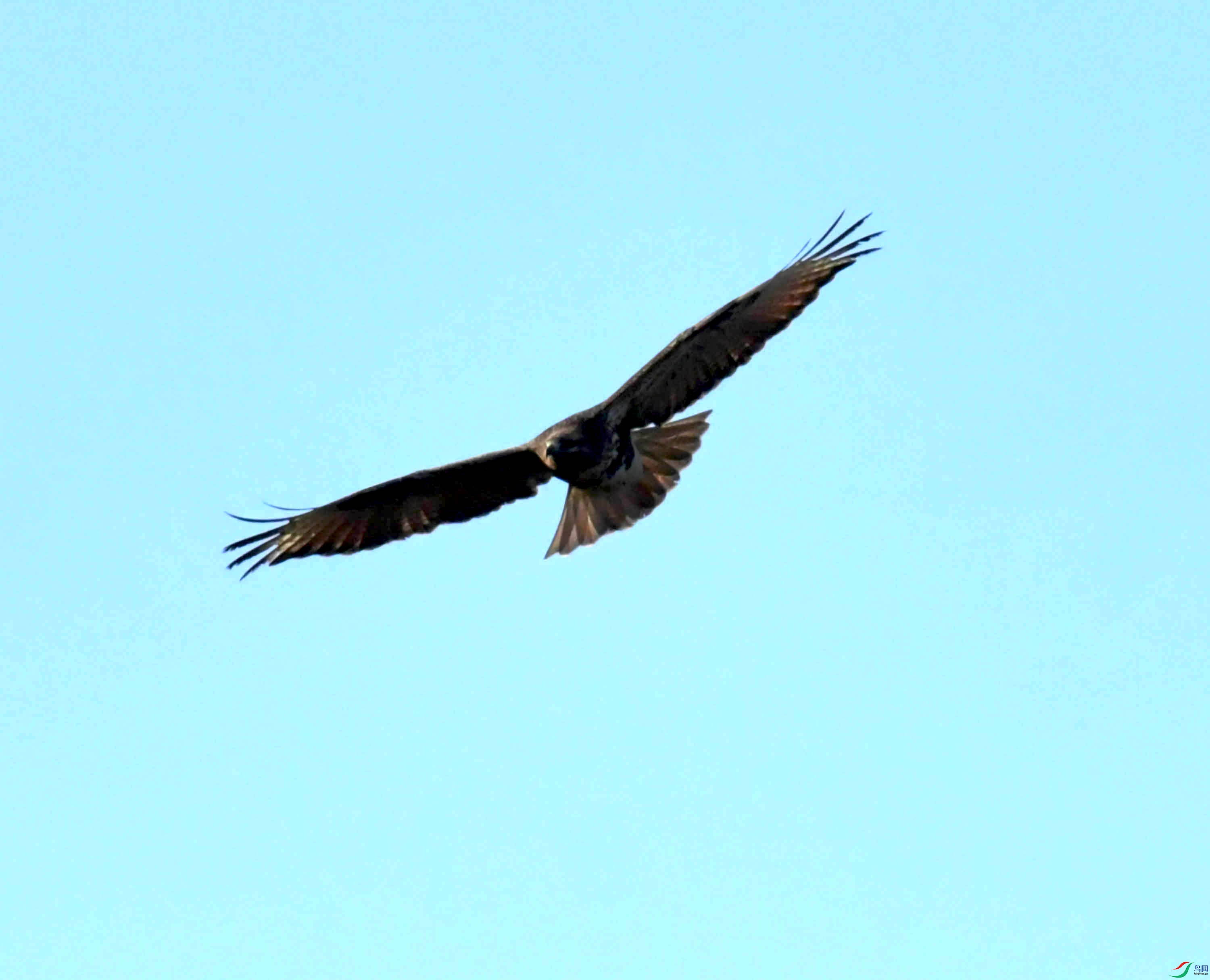 DSC_0754.JPG