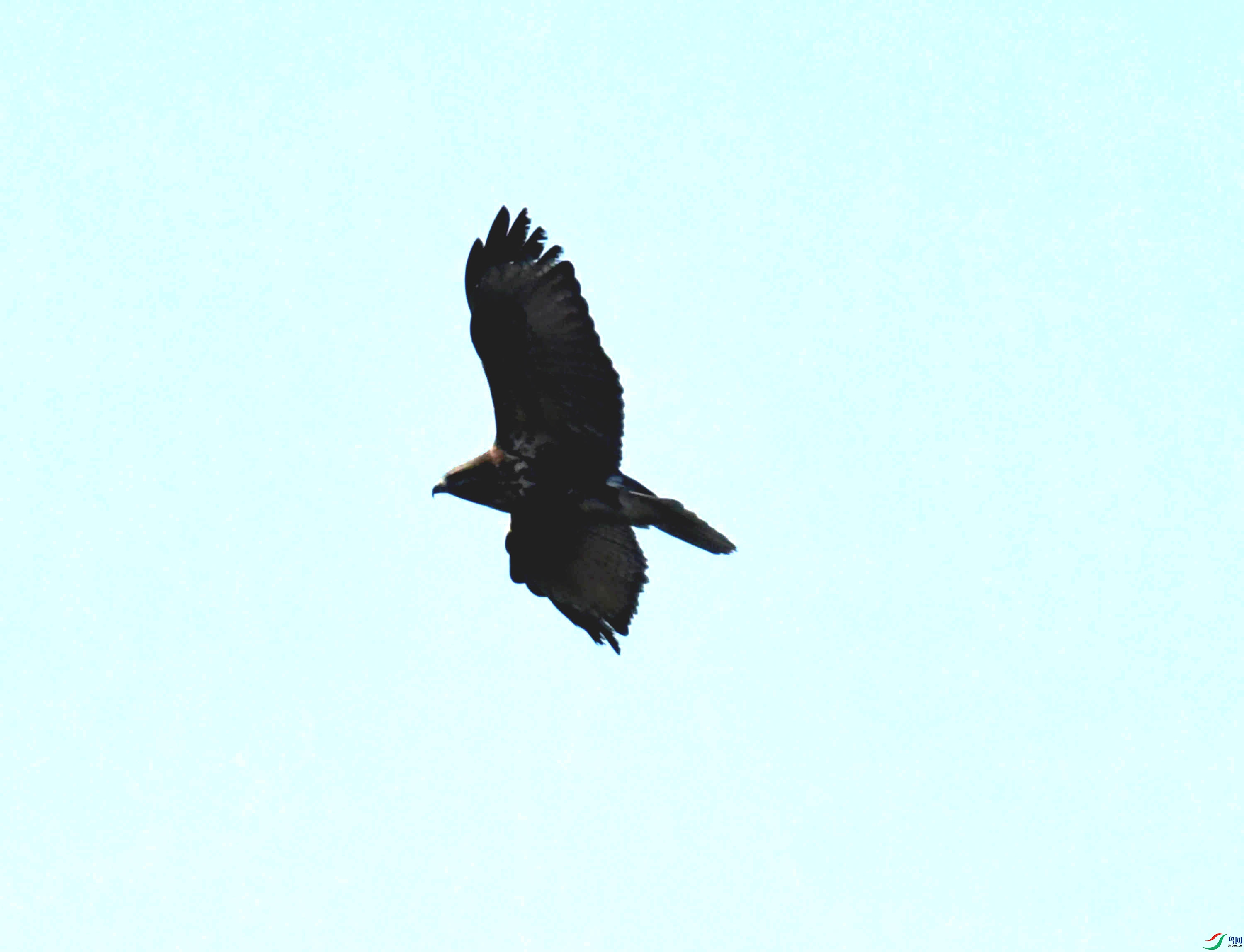 DSC_0763.JPG