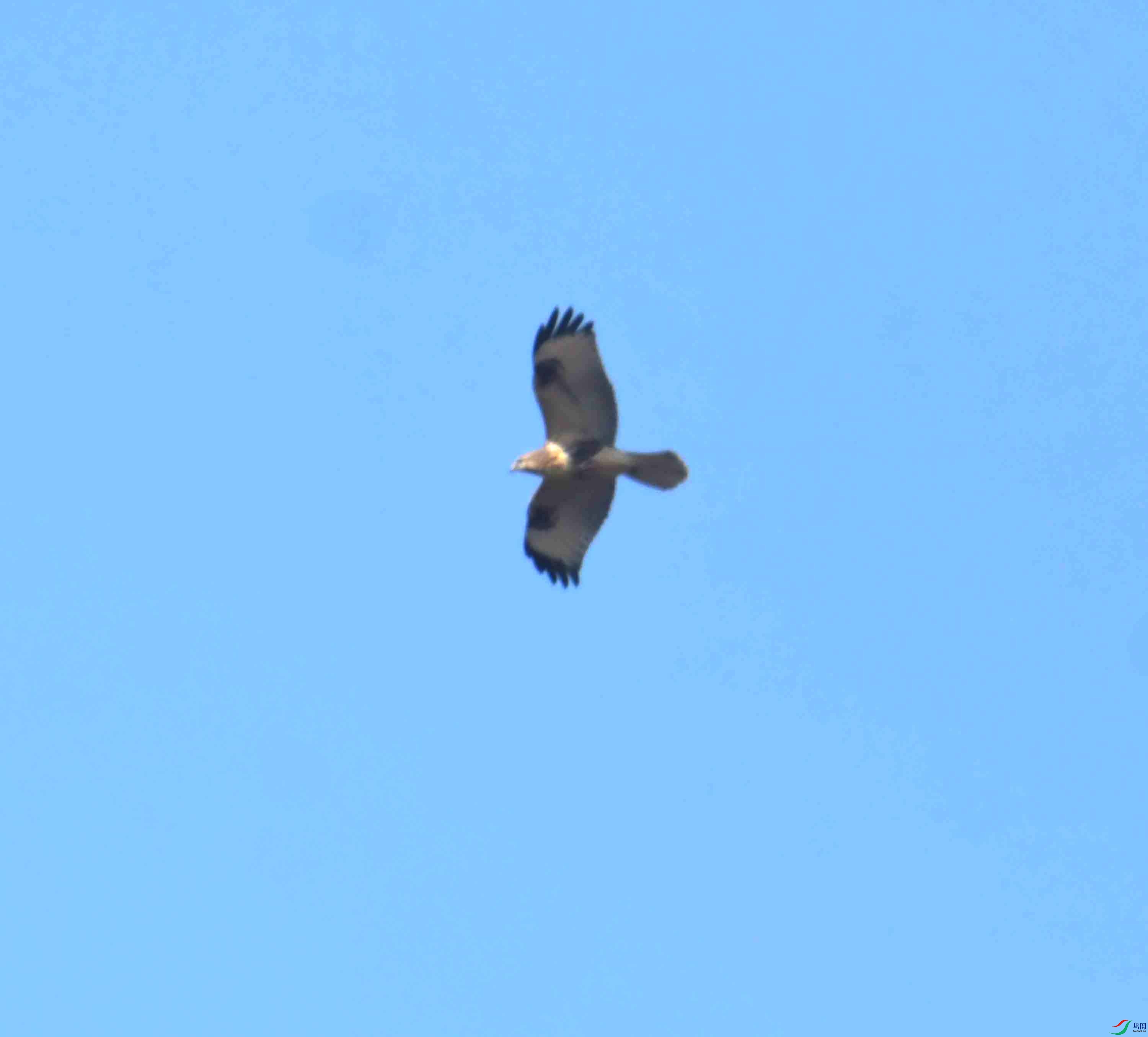 DSC_0760.JPG