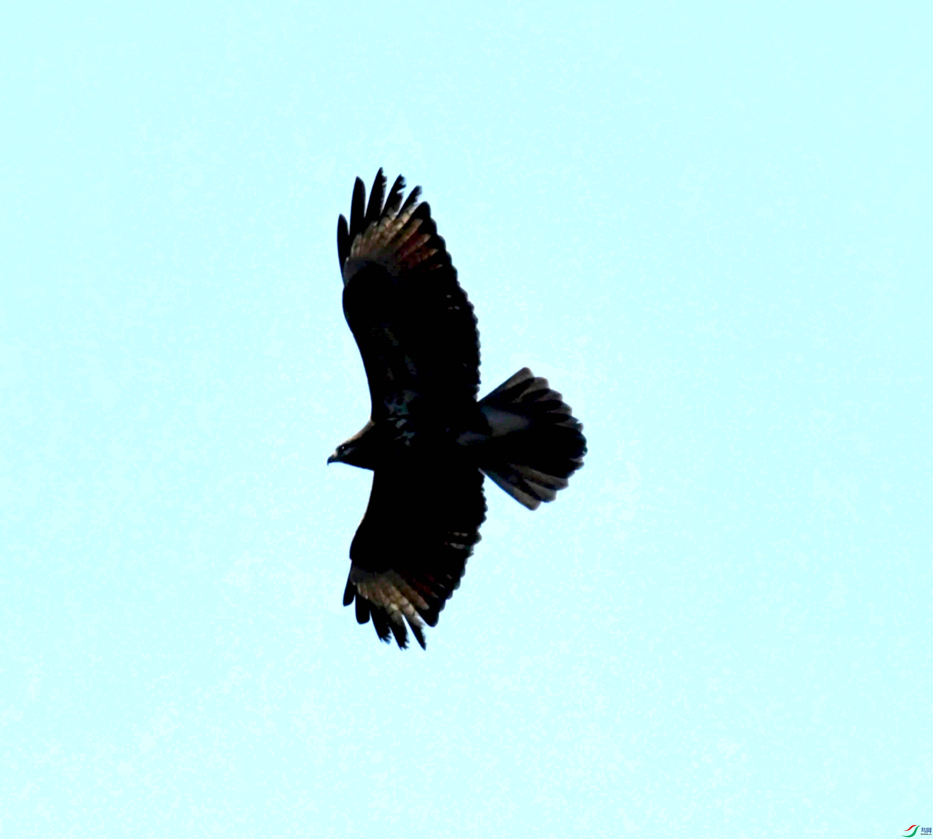 DSC_0769.JPG