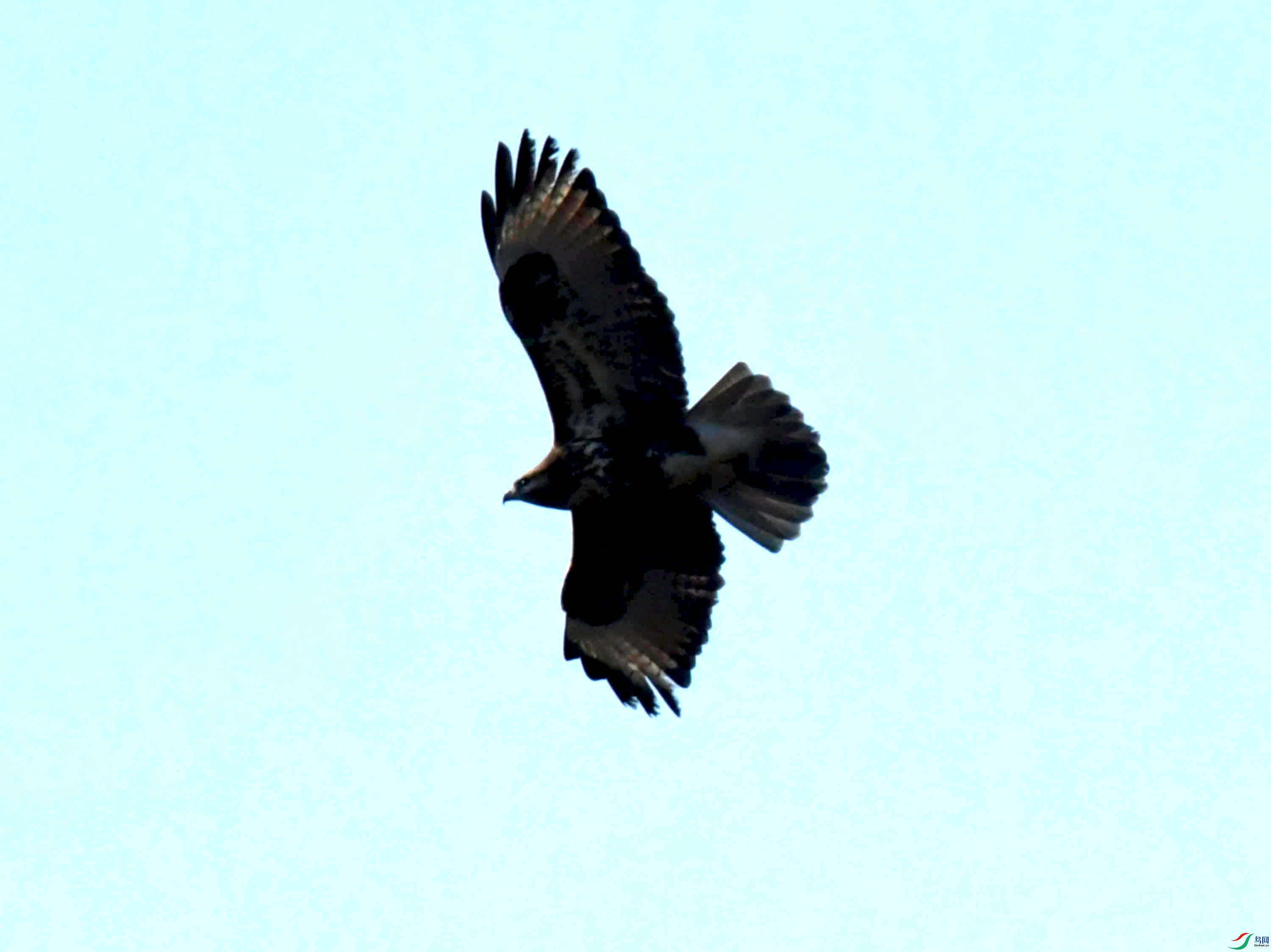 DSC_0771.JPG