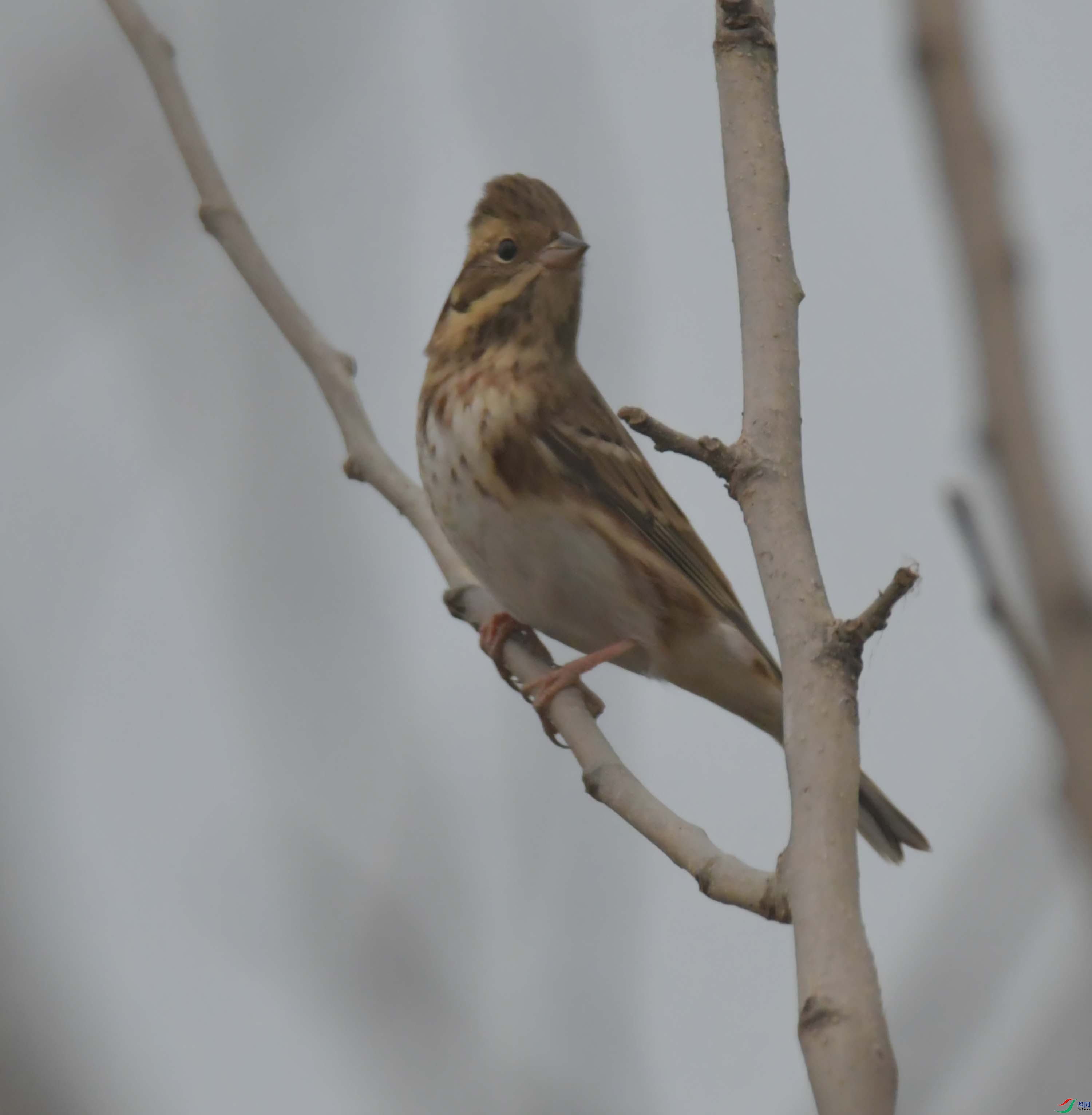 DSC_3457.JPG