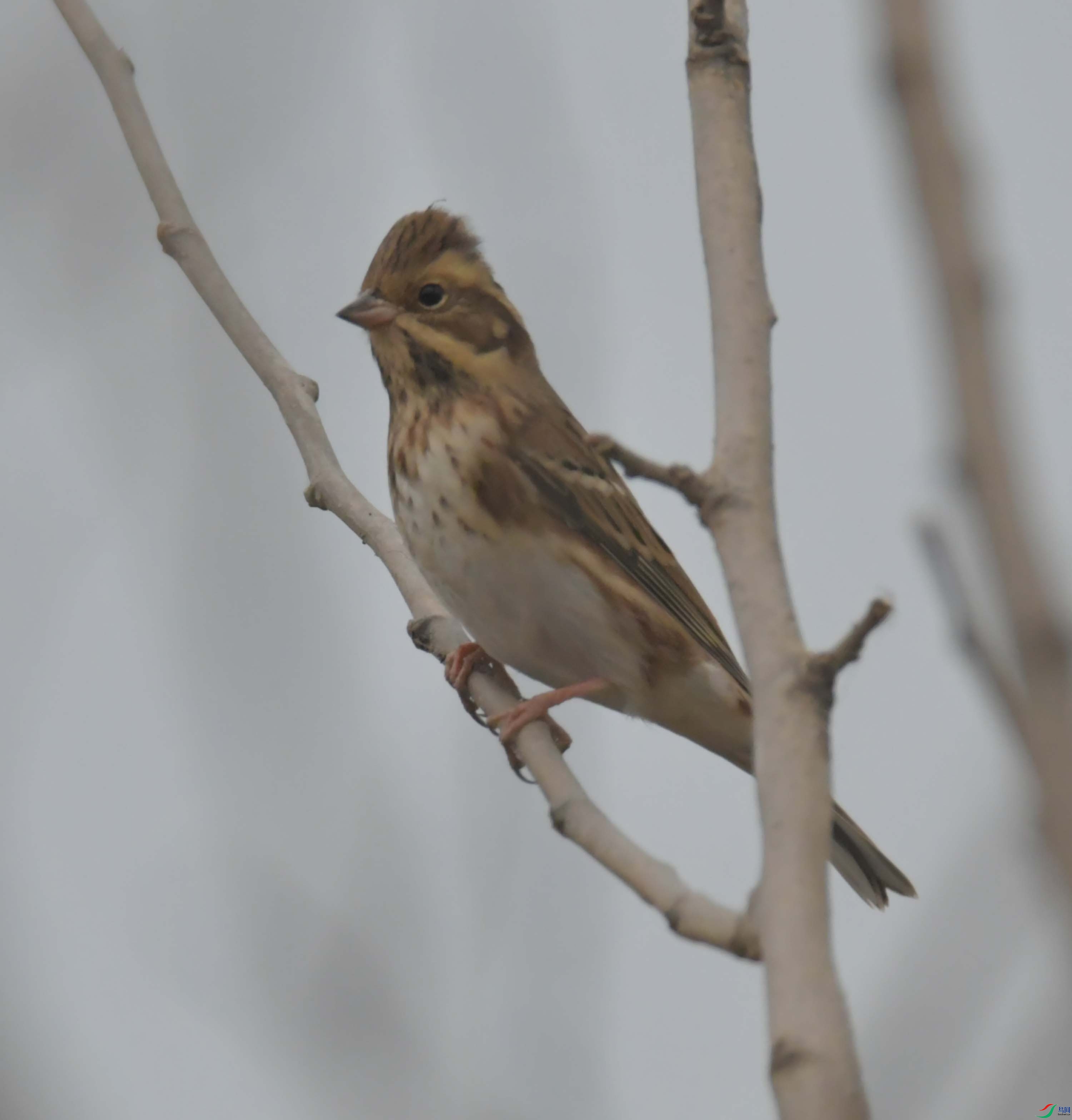 DSC_3455.JPG