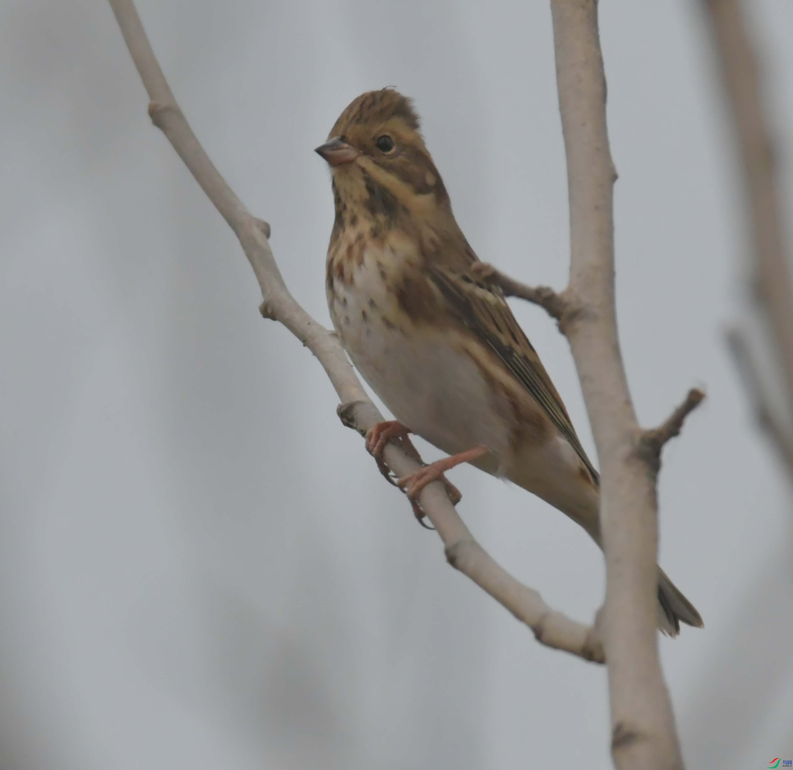 DSC_3460.JPG