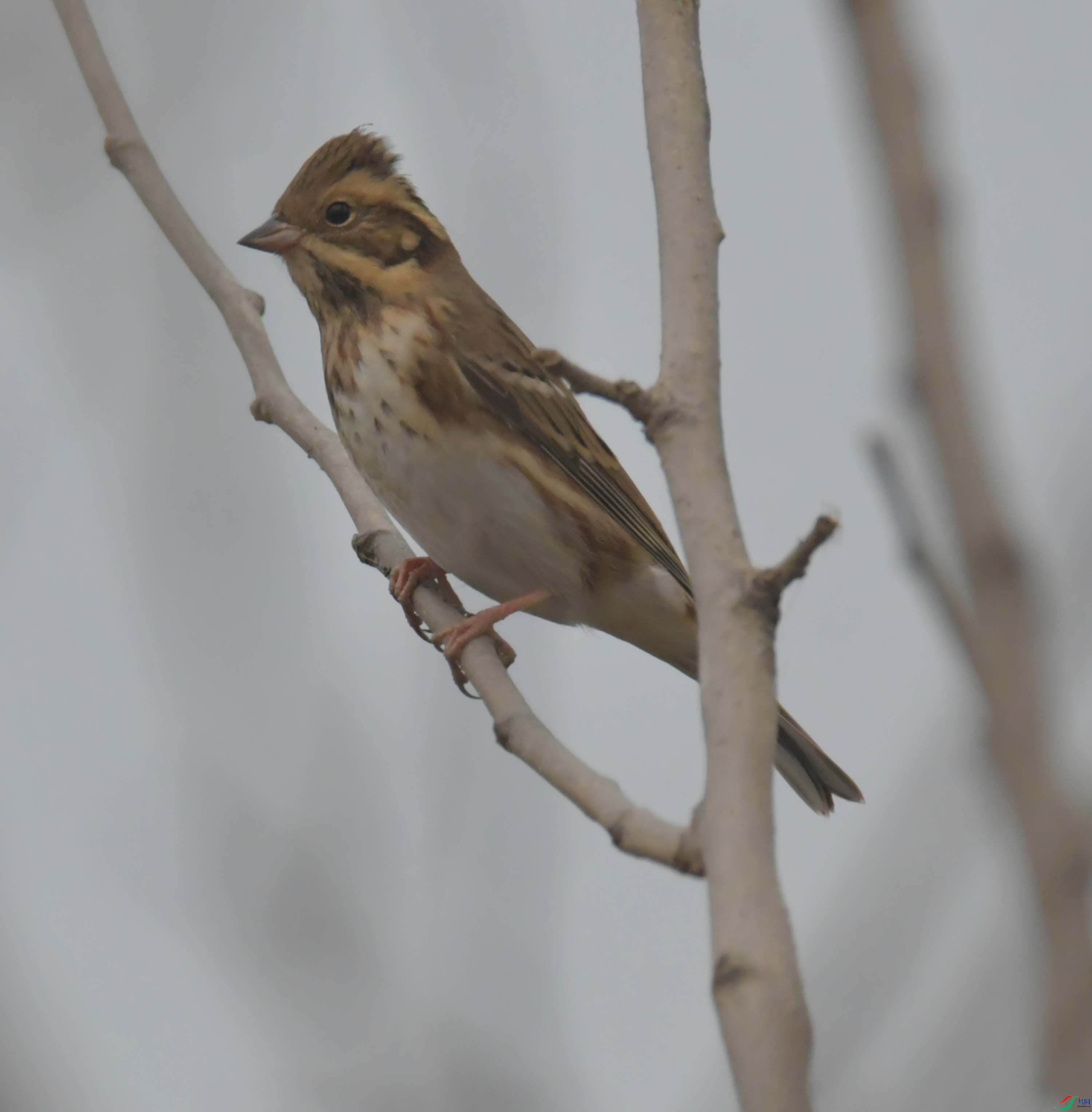 DSC_3465.JPG