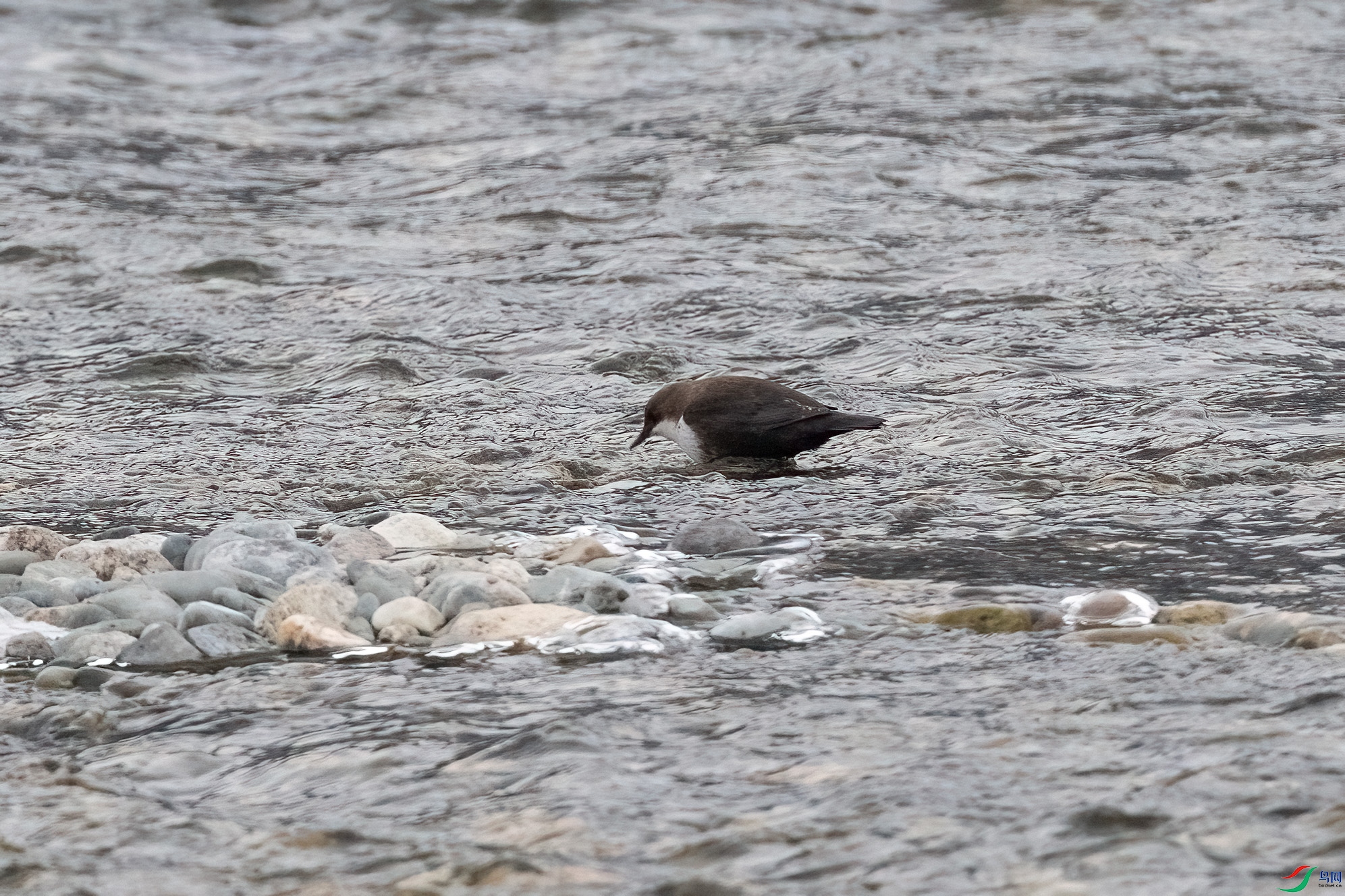 DSC_6434.jpg