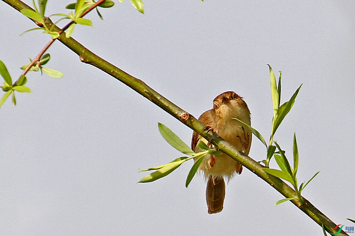 IMG_8188.JPG