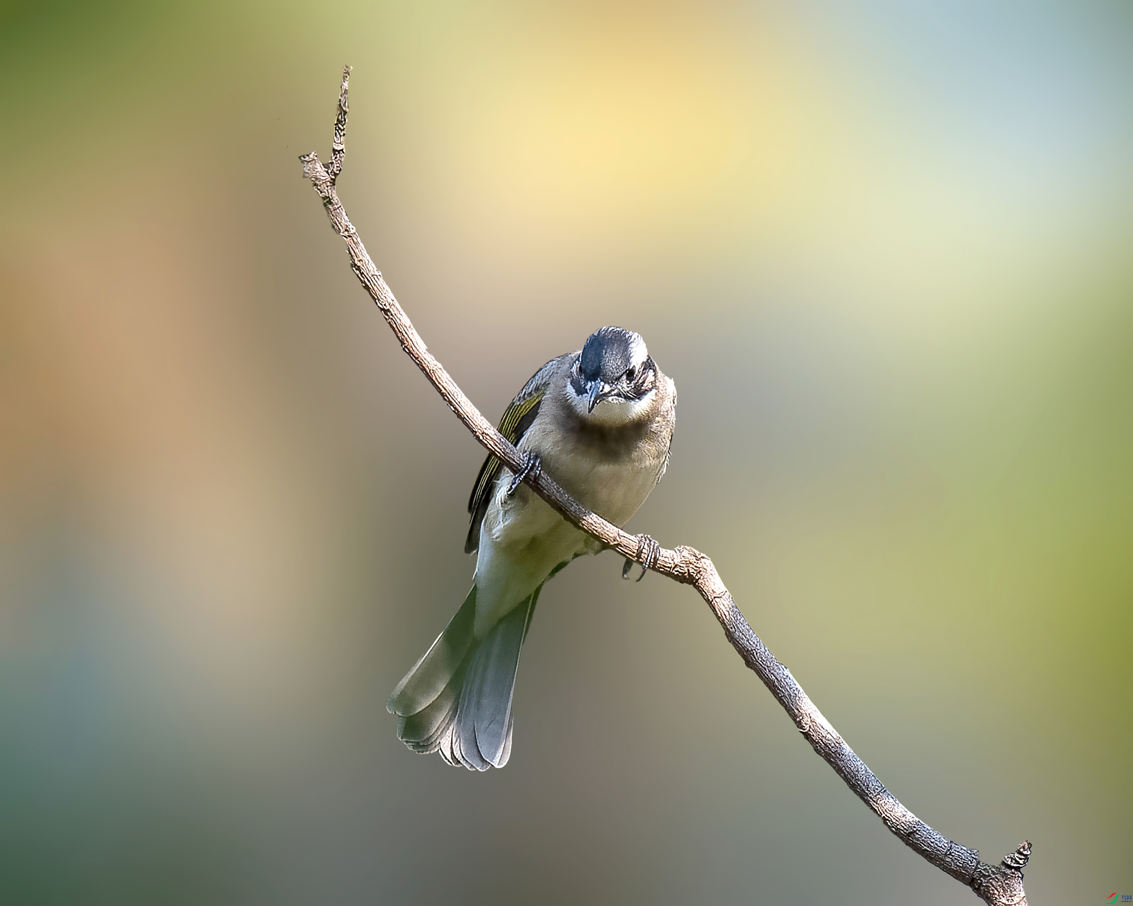 _ZFW3705_DxO-gigapixel.jpg