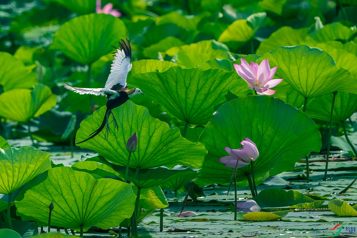_DSC2666.jpg