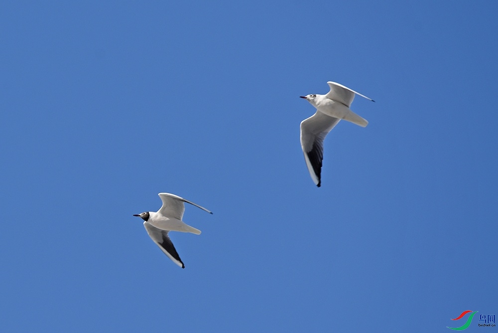 DSC_3843.jpg