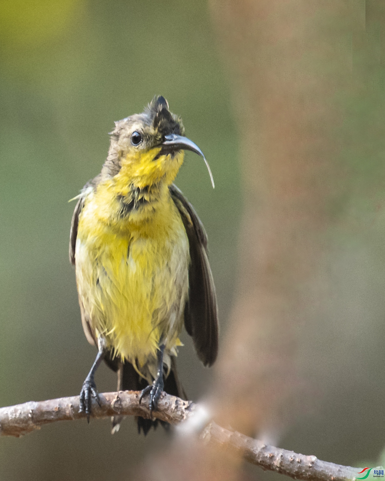 9323 ����.jpg