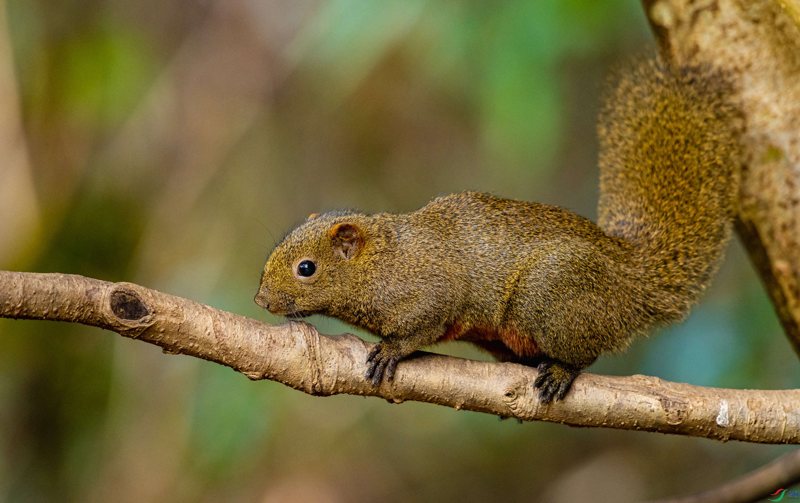_DSC6296_3.jpg