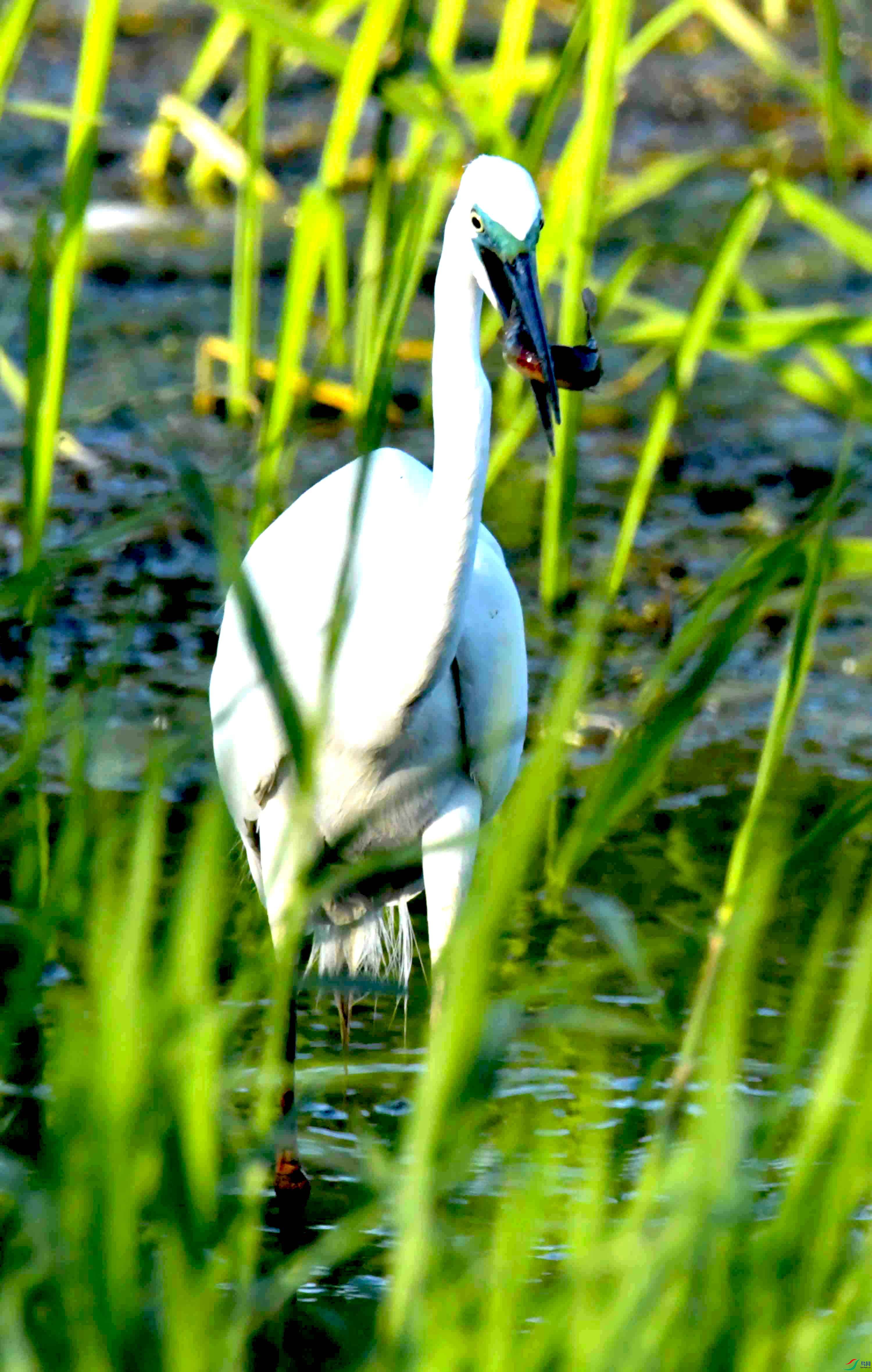 DSC_0957.JPG