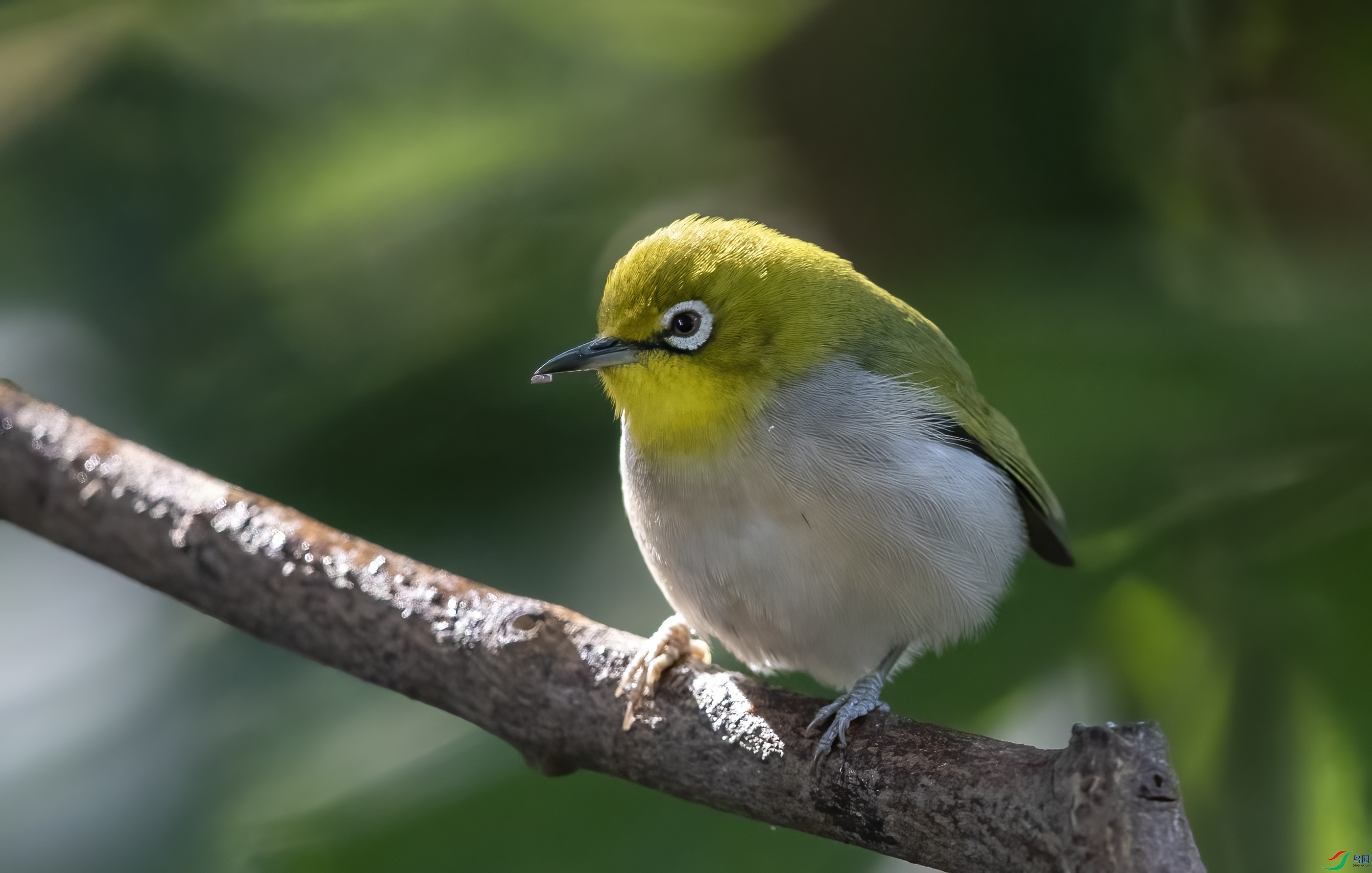 �͵�������