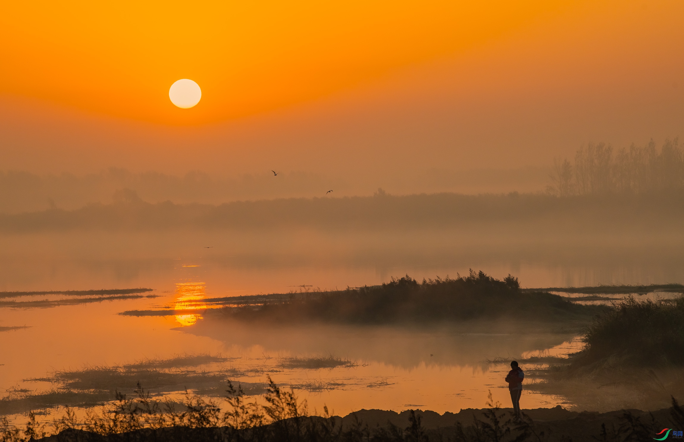 �ճ��ɻ���