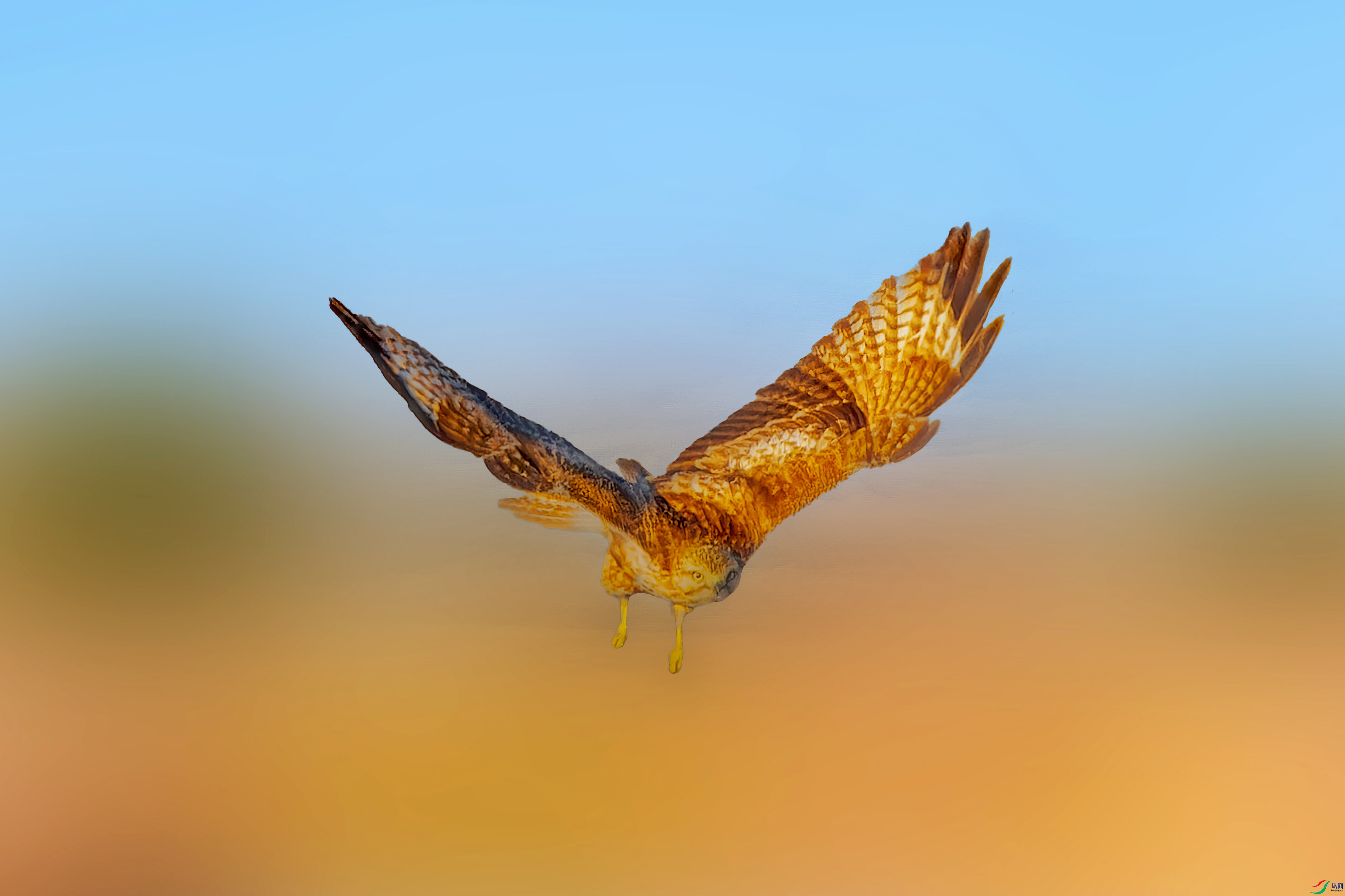 δ����-1-gigapixel (1).jpg