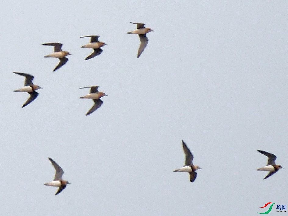 P9450474 - ���� (2).JPG