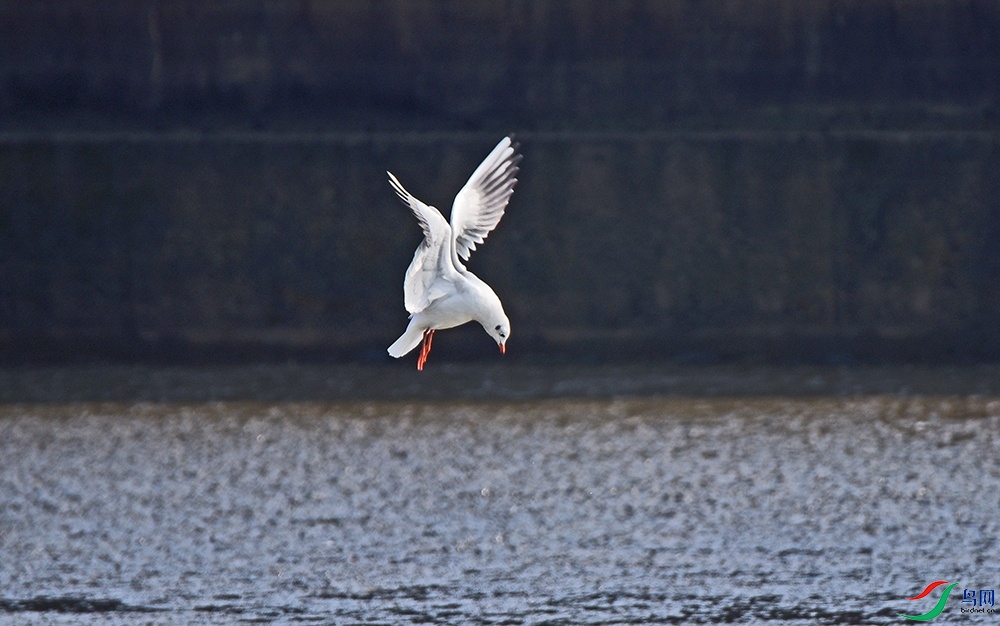 DSC_8683.jpg
