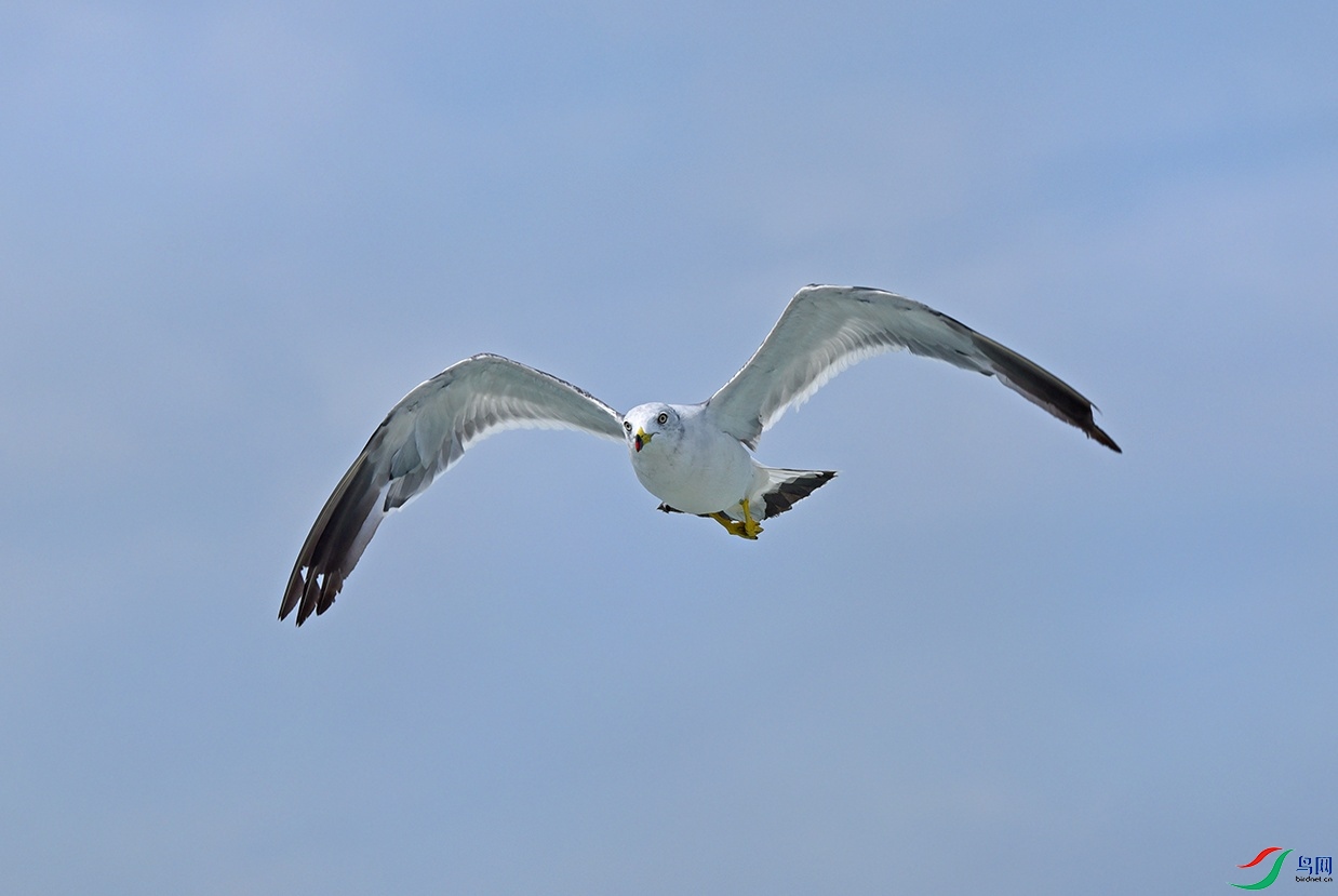 DSC_4938.jpg