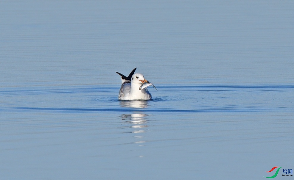 DSC_6876.jpg
