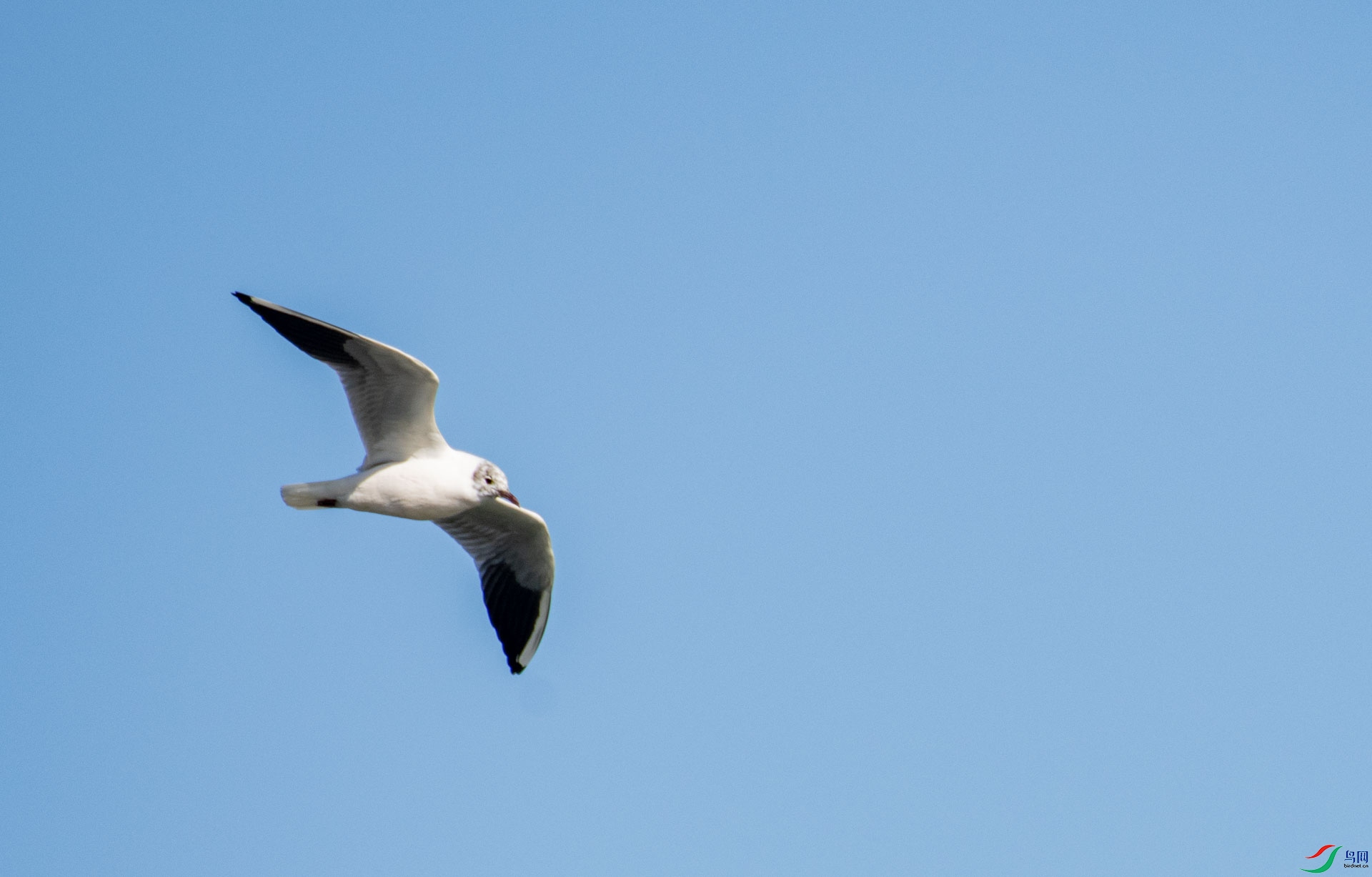 DSC_7701.jpg