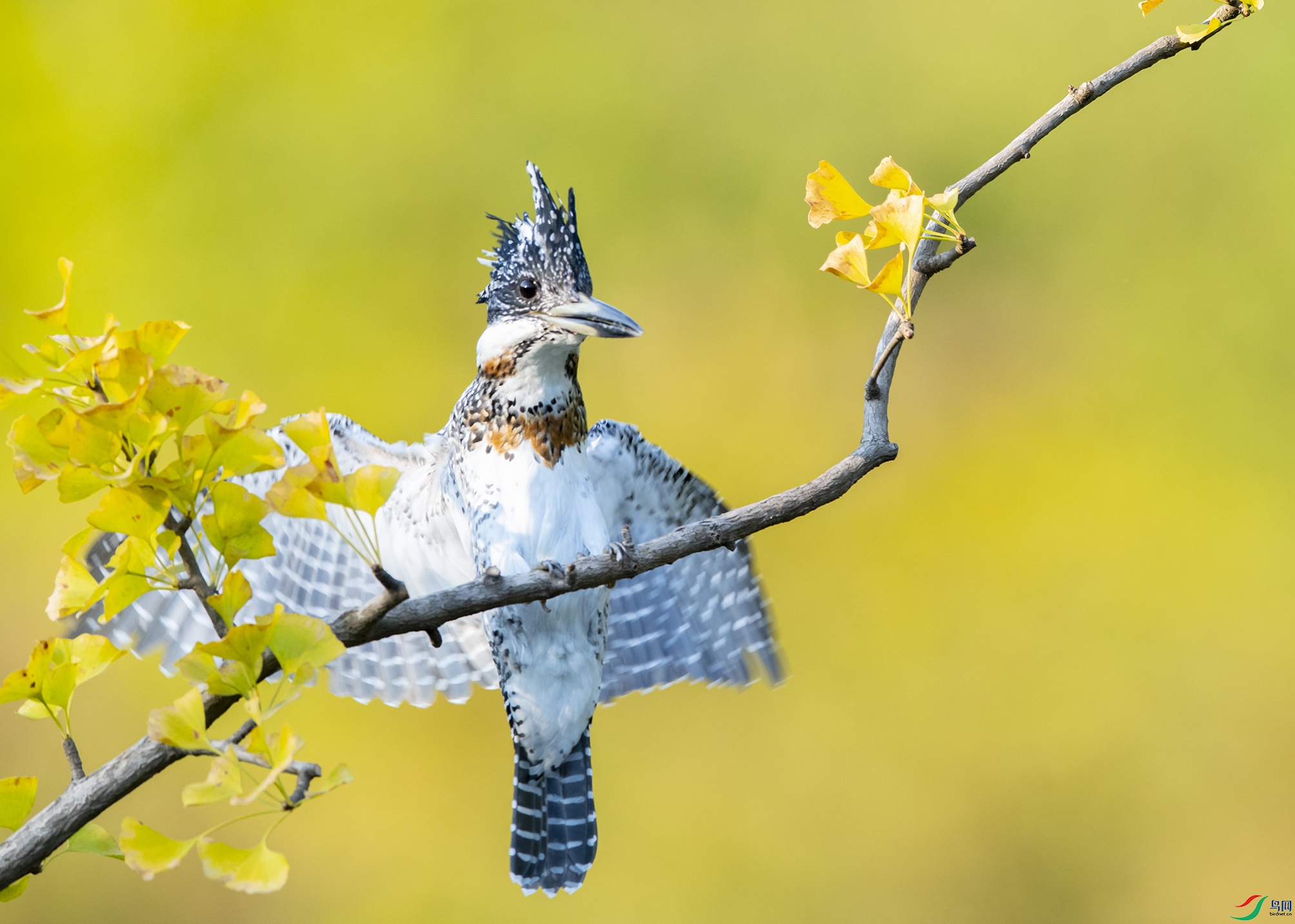 1122 ����.jpg