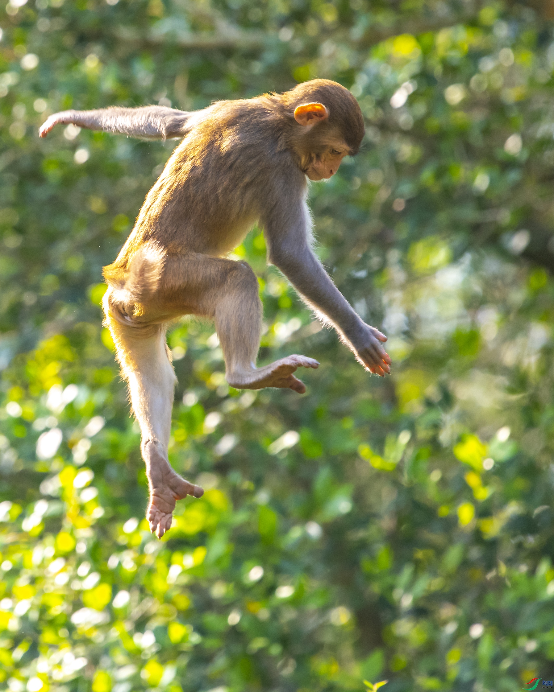 7308 ����.jpg