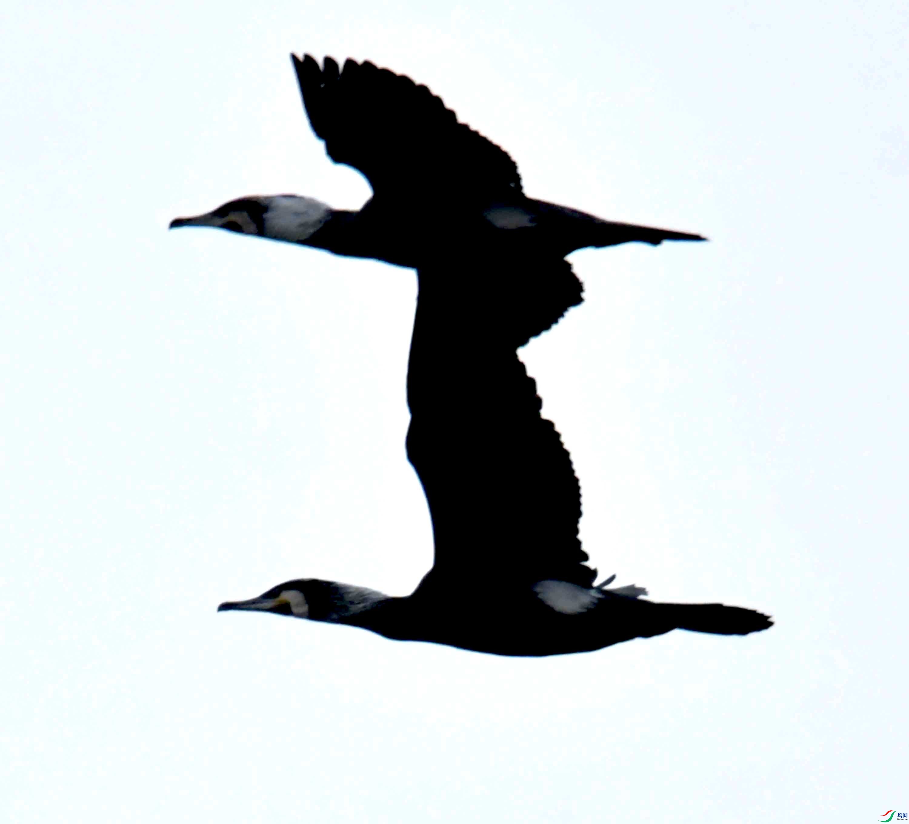 DSC_3650.JPG