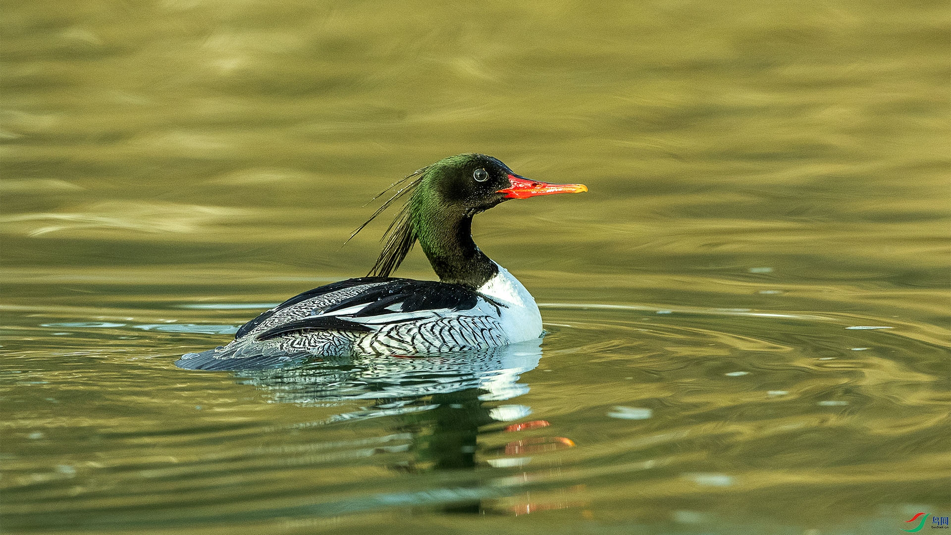 CD0I0104 ���� 2.jpg