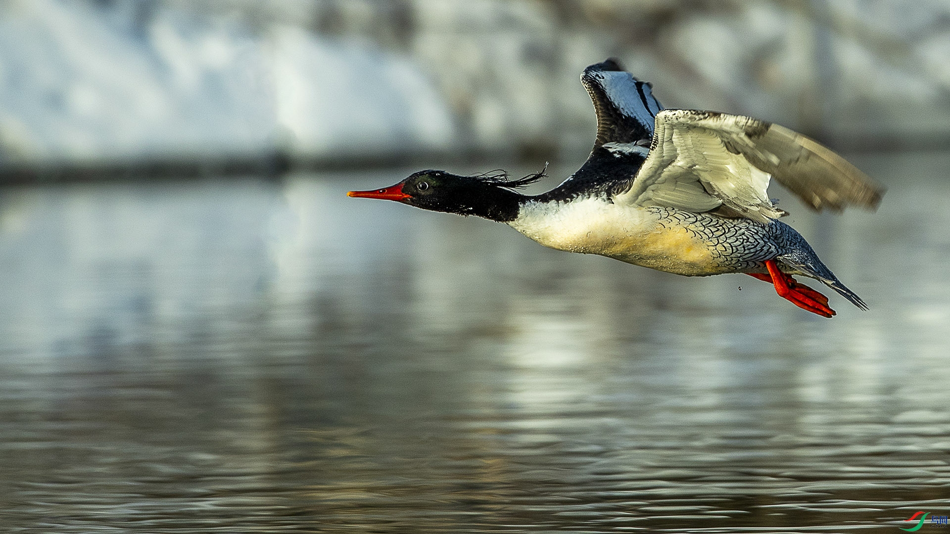 CD0I9728 ����2.jpg