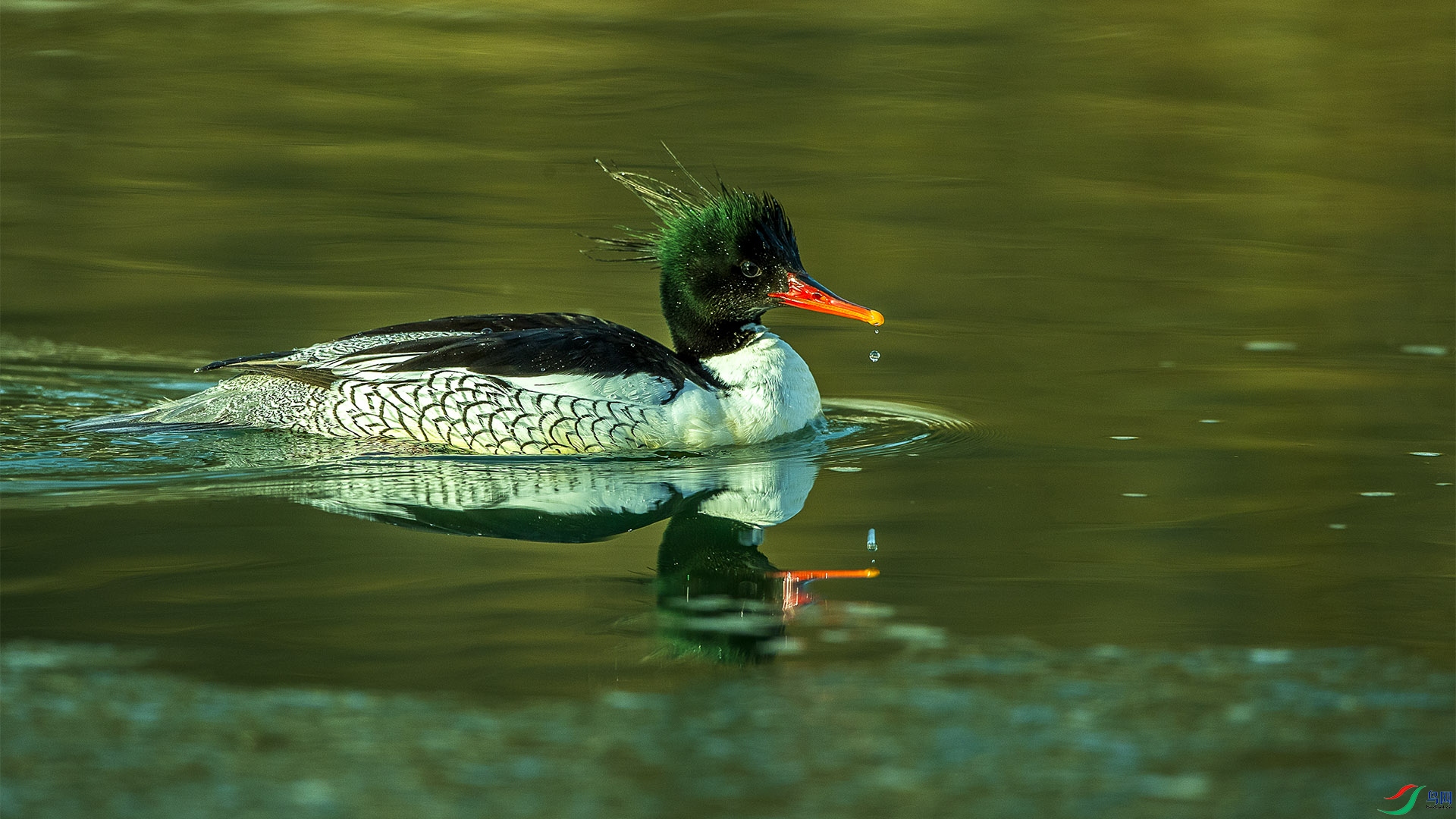 CD0I0196 ���� 2.jpg