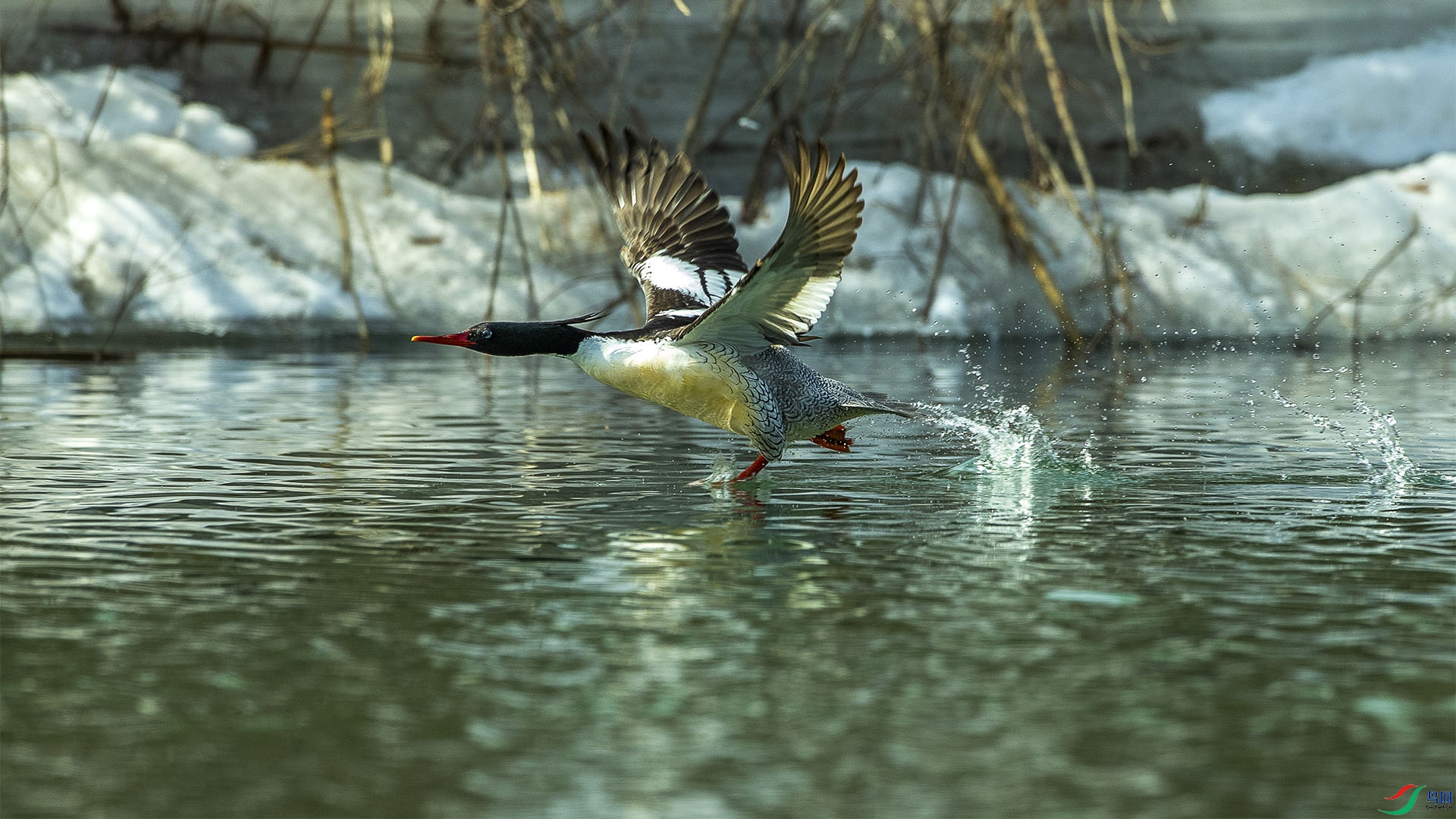 CD0I1392 ���� 2.jpg