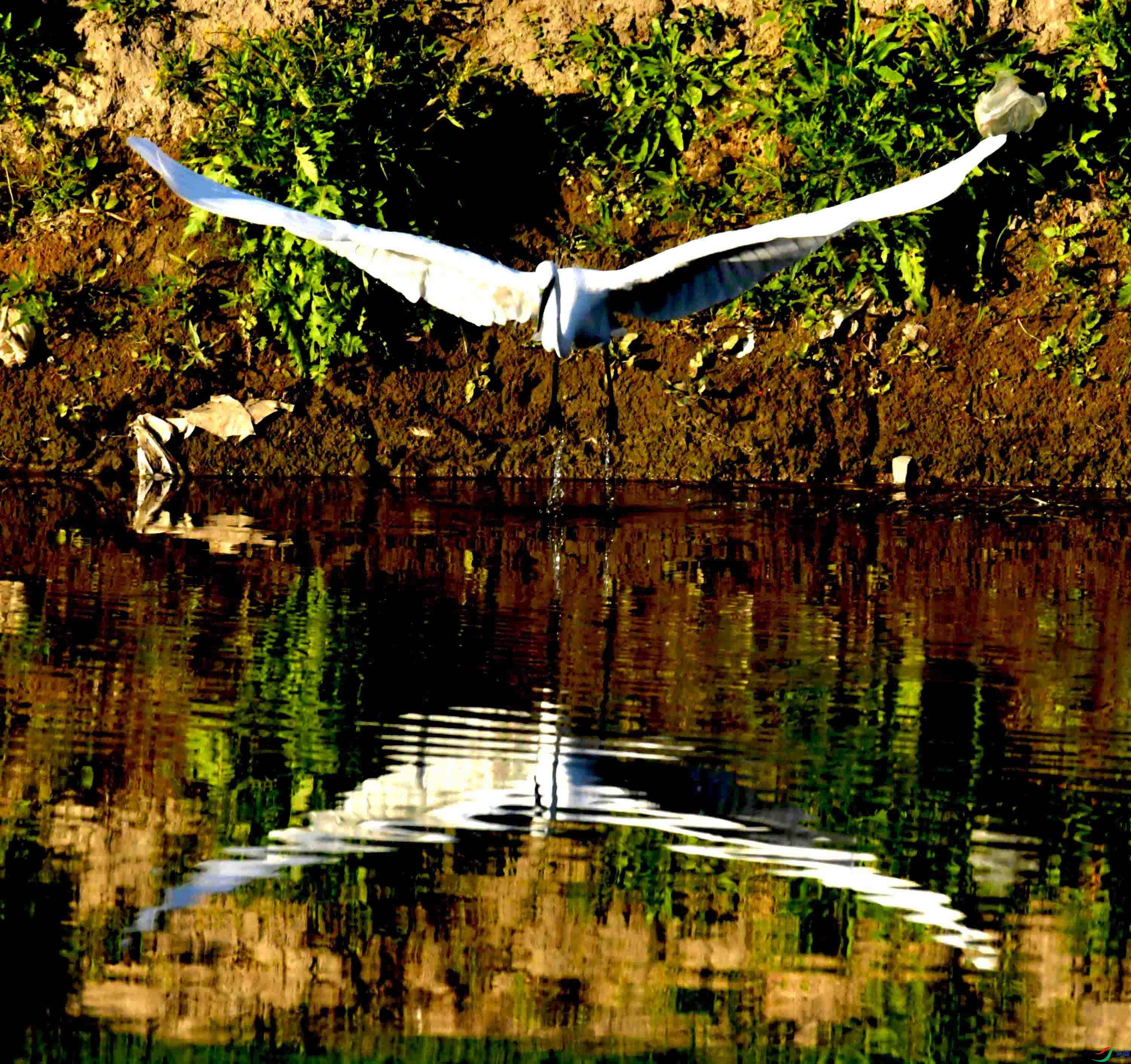 DSC_0989.JPG