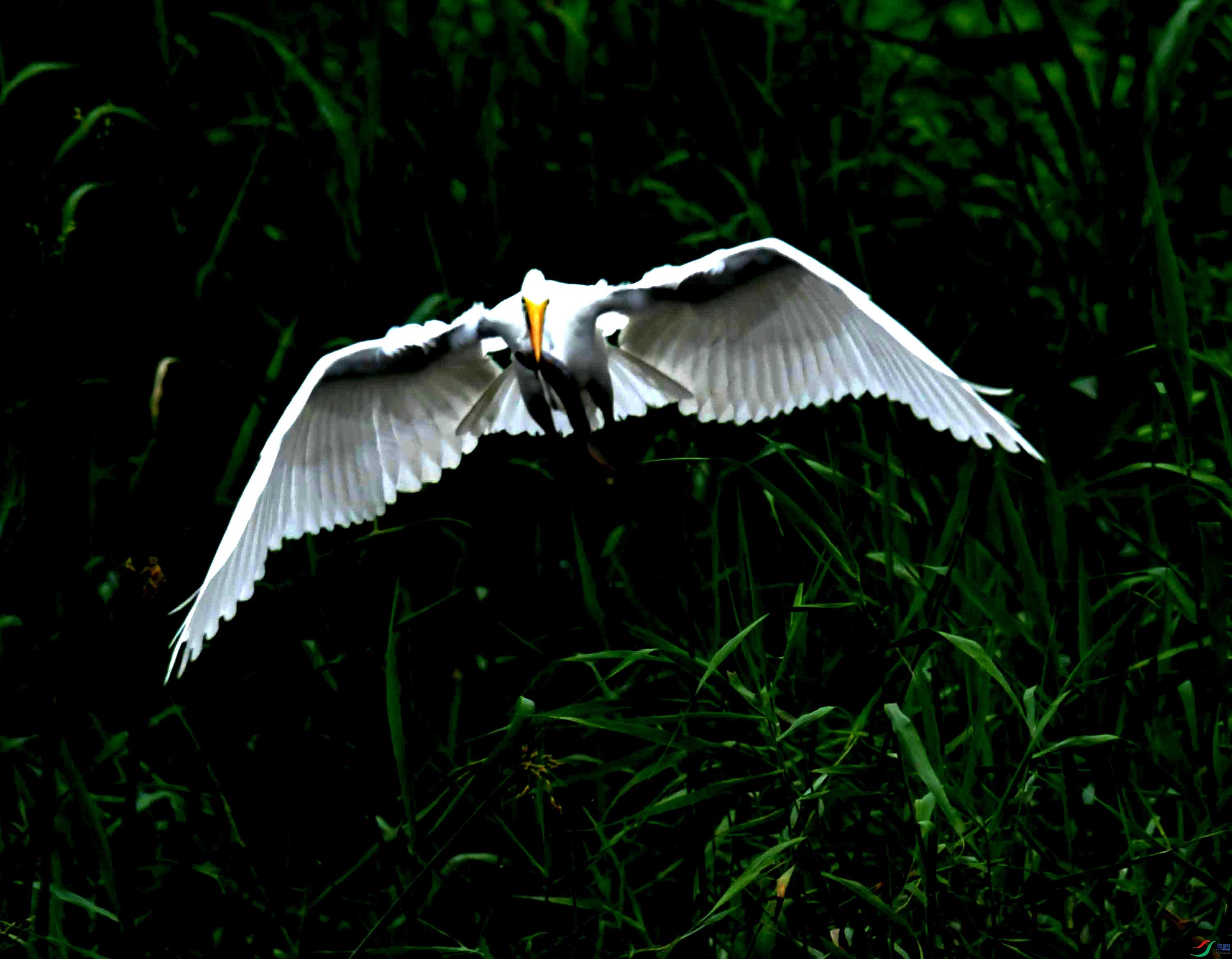 DSC_0999.JPG