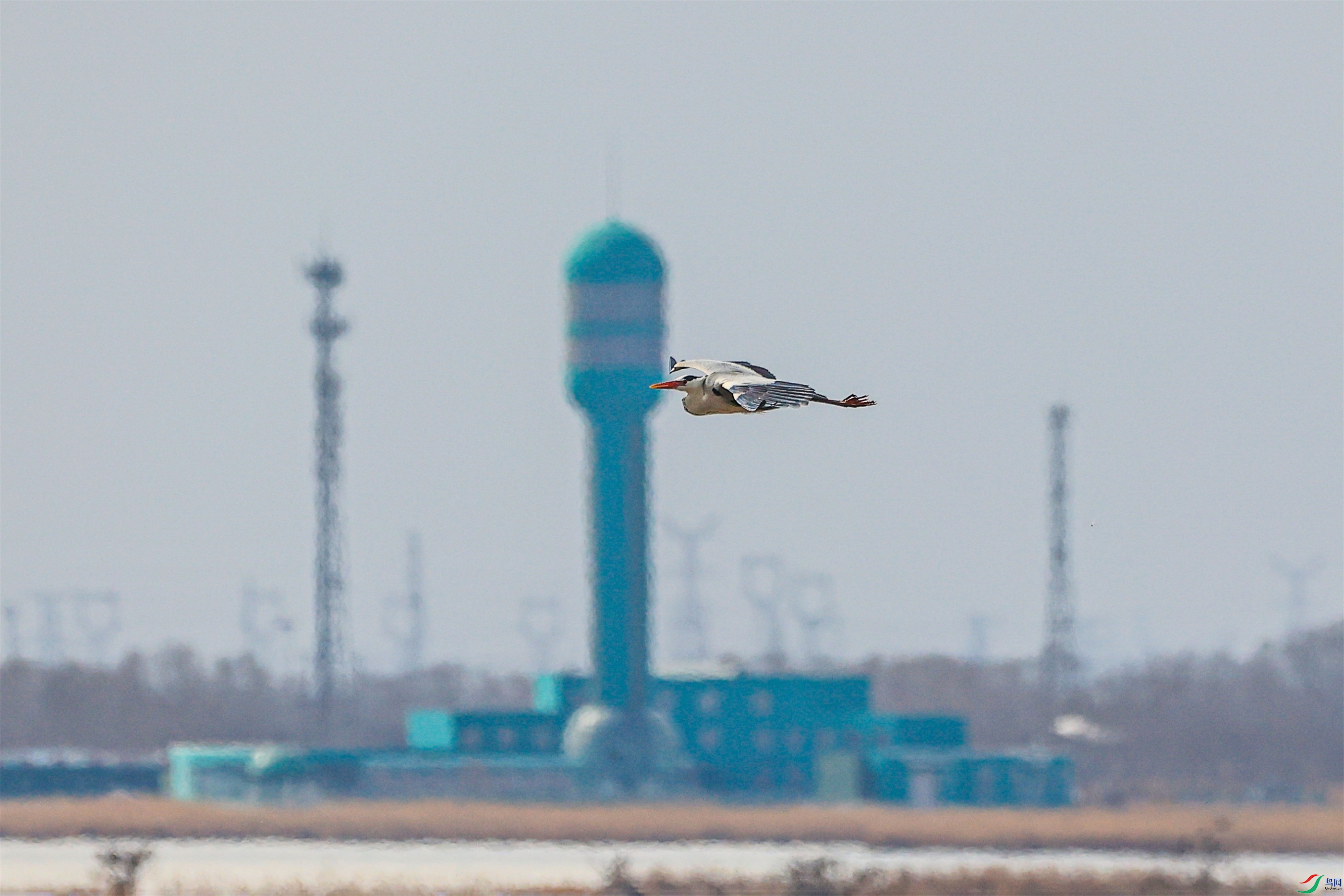 1K3A3458 ����1.jpg