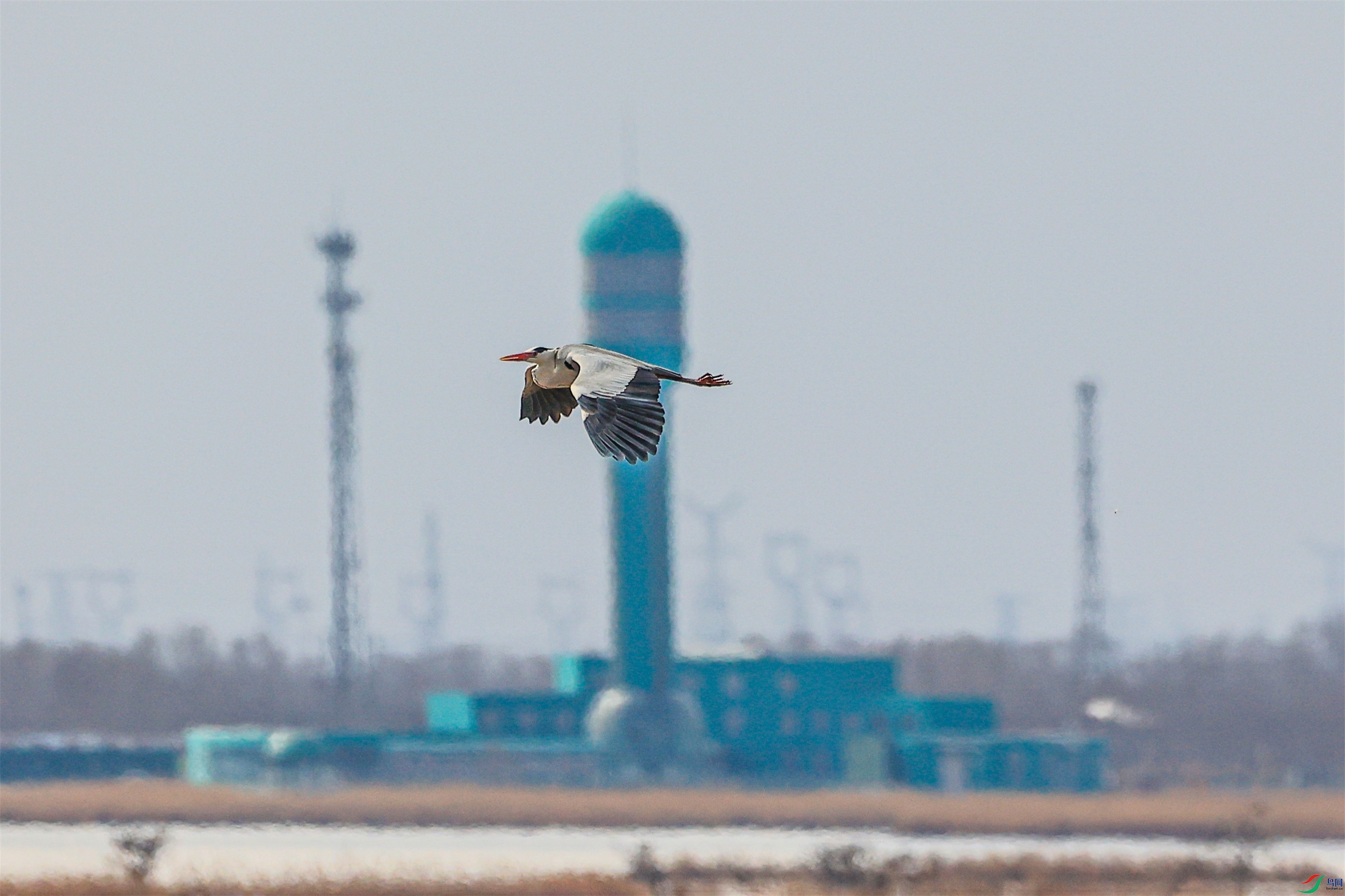 1K3A3459 ����1.jpg