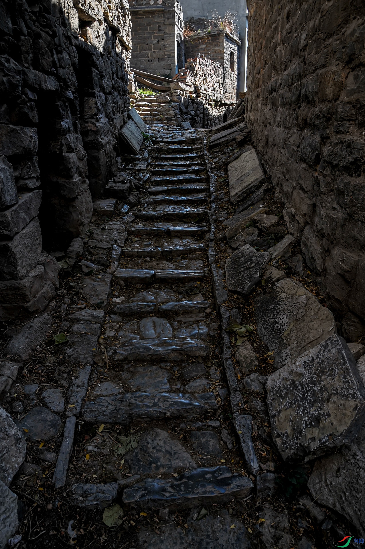 DSC_0089��.jpg