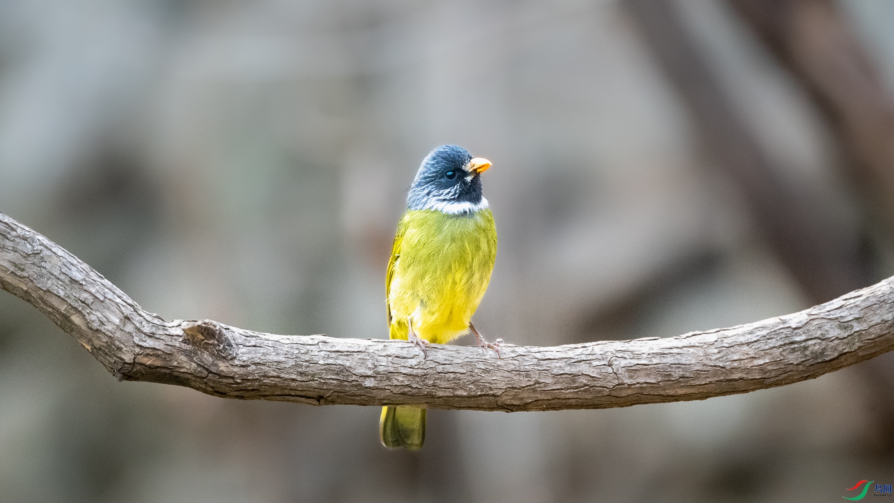 DSC_1756.jpg