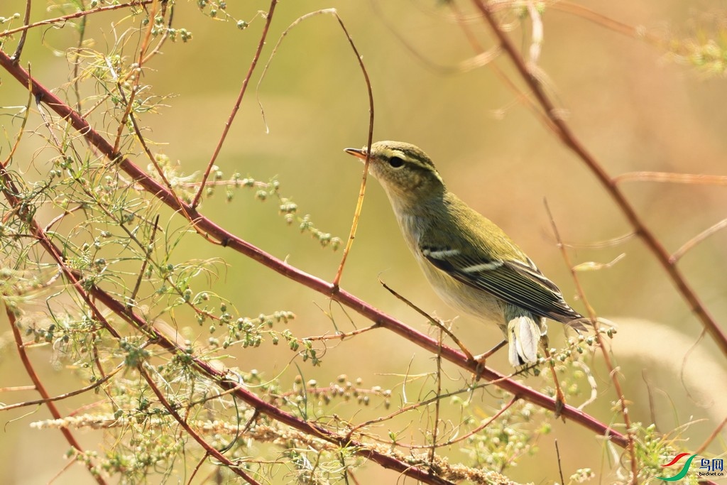 ��ݺ�� ��   098A6865.jpg