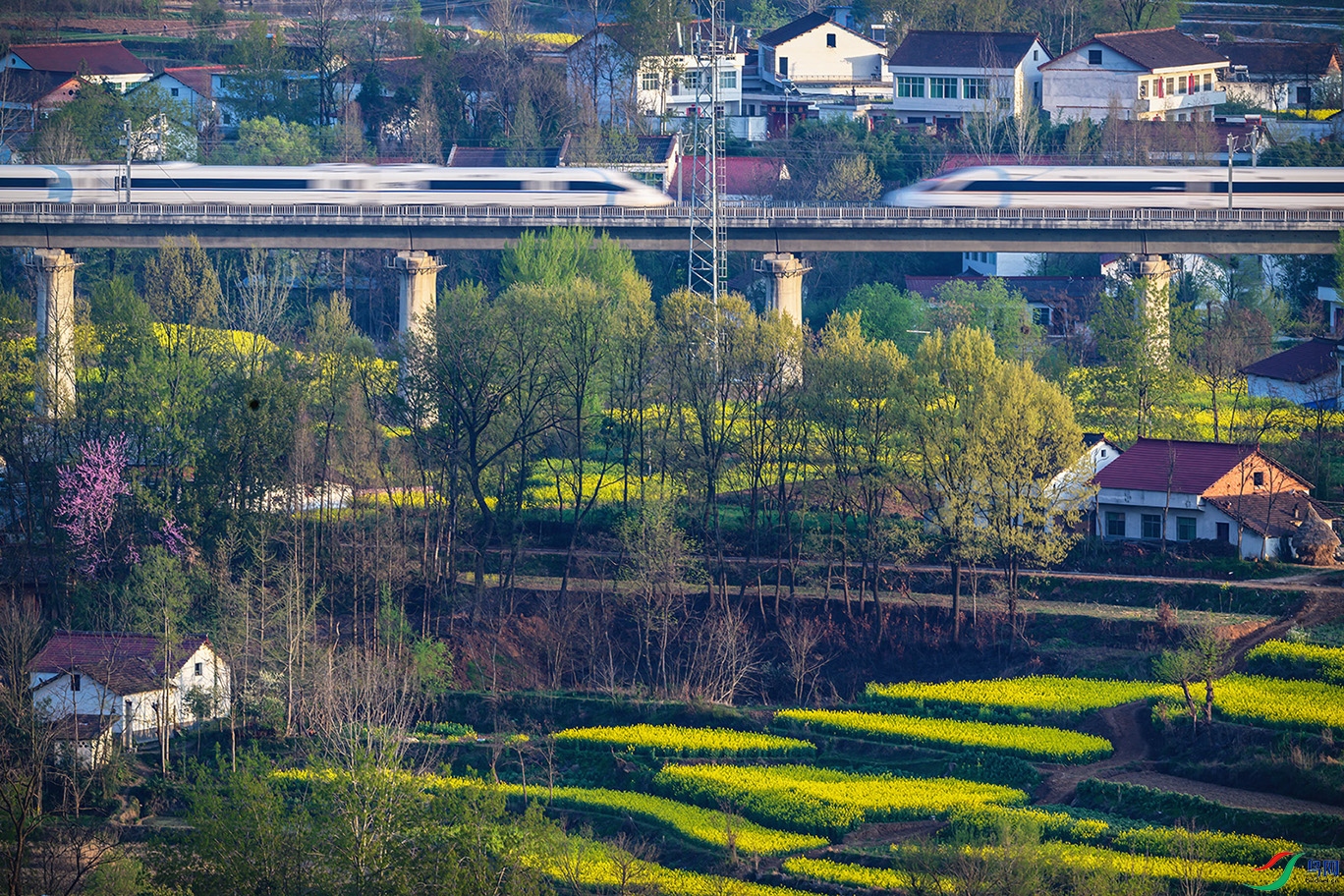 �������������м�ɽ����