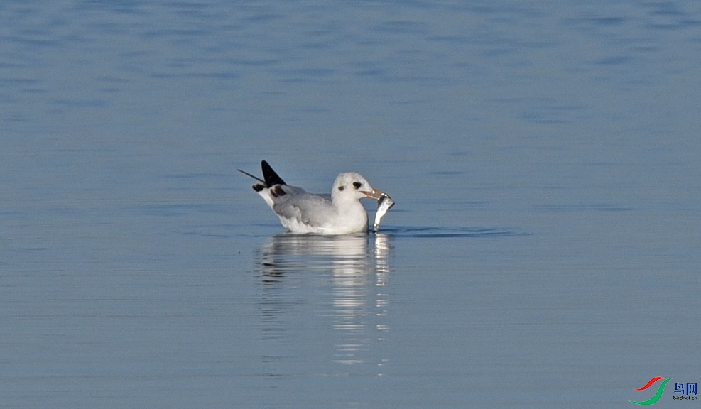 DSC_6855.jpg