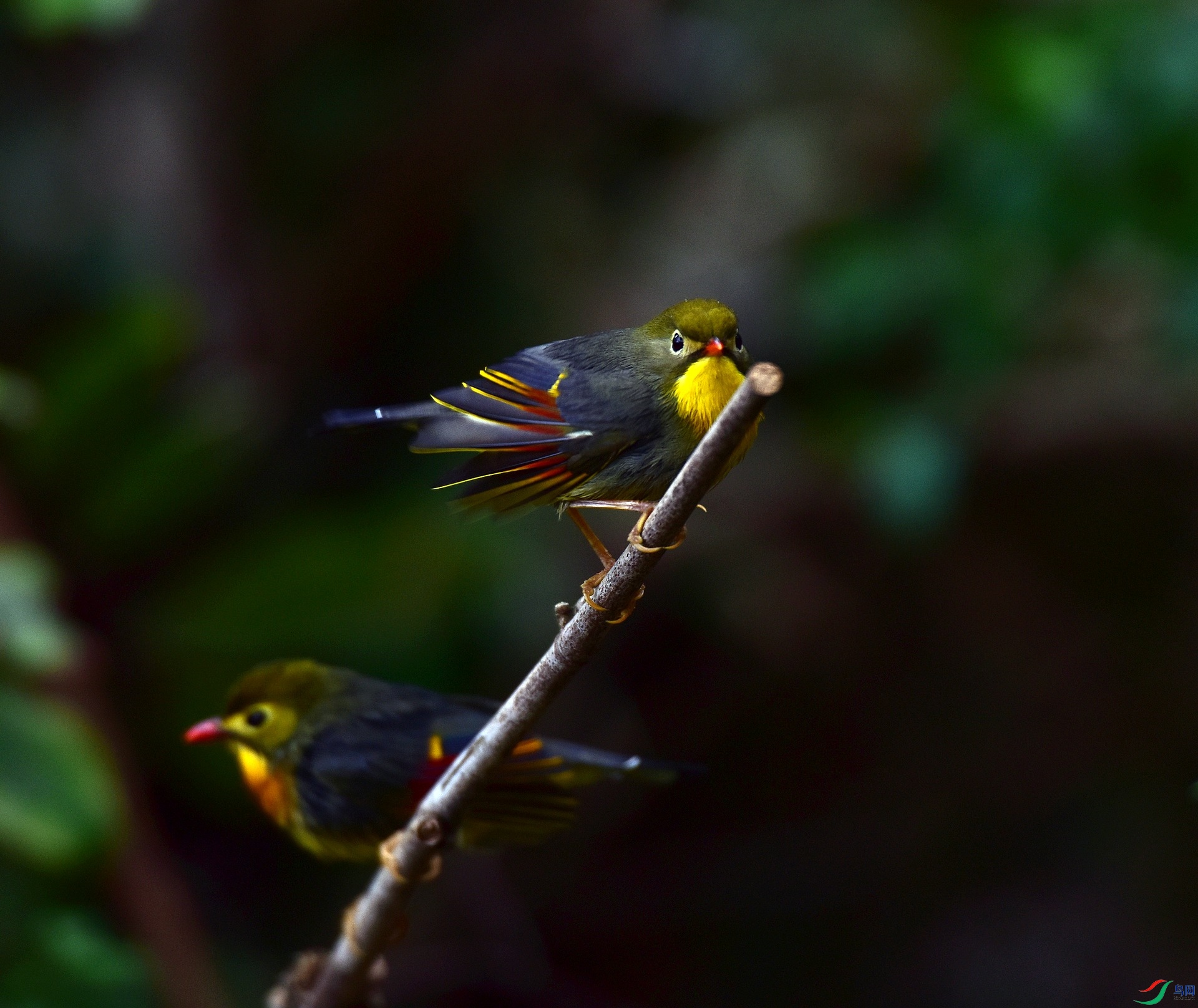 D8I_0594.jpg
